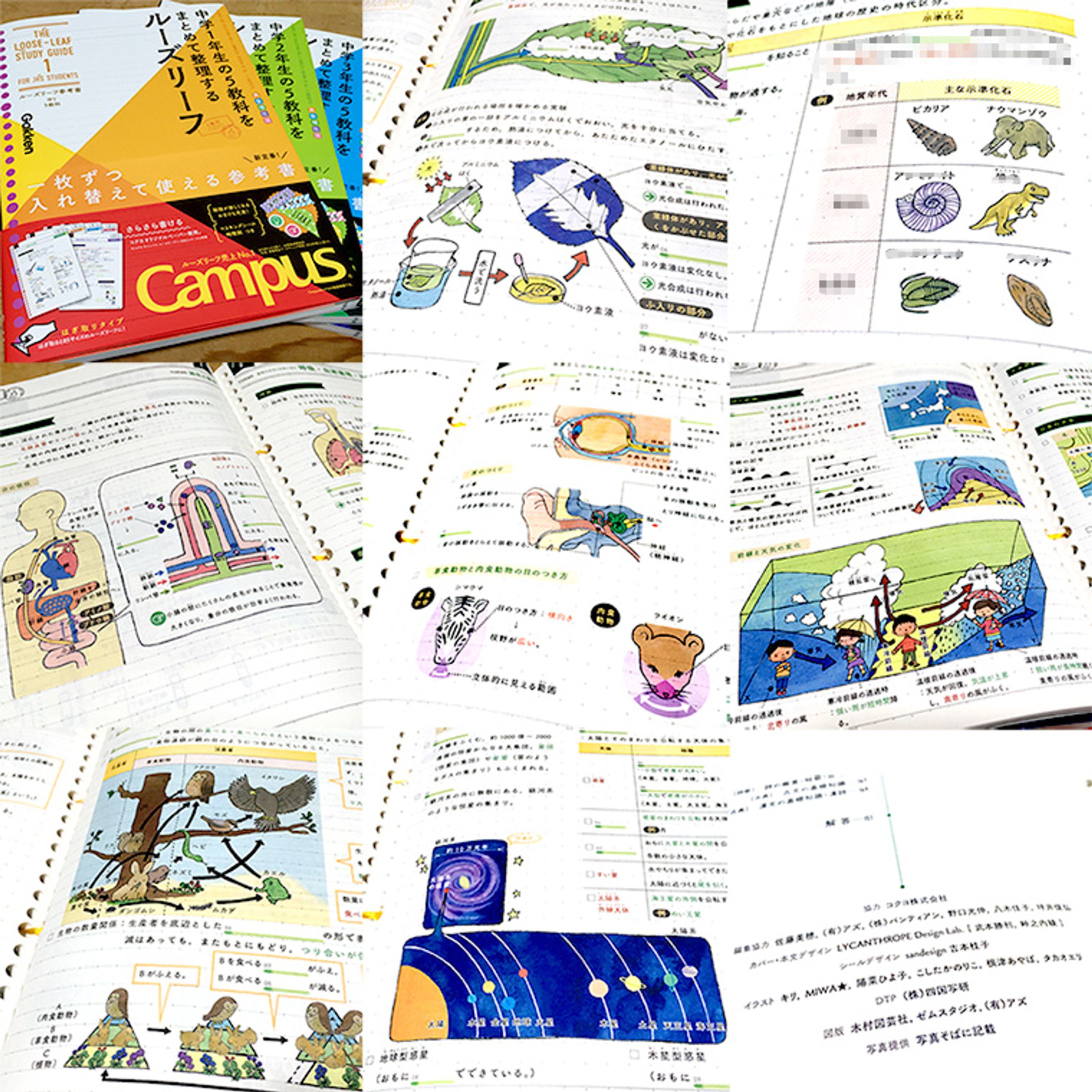 2017年2月：教材『ルーズリーフ参考書　中1～3　5教科・理科（生物・地学） 』（カットイラスト）（学研プラス）-1