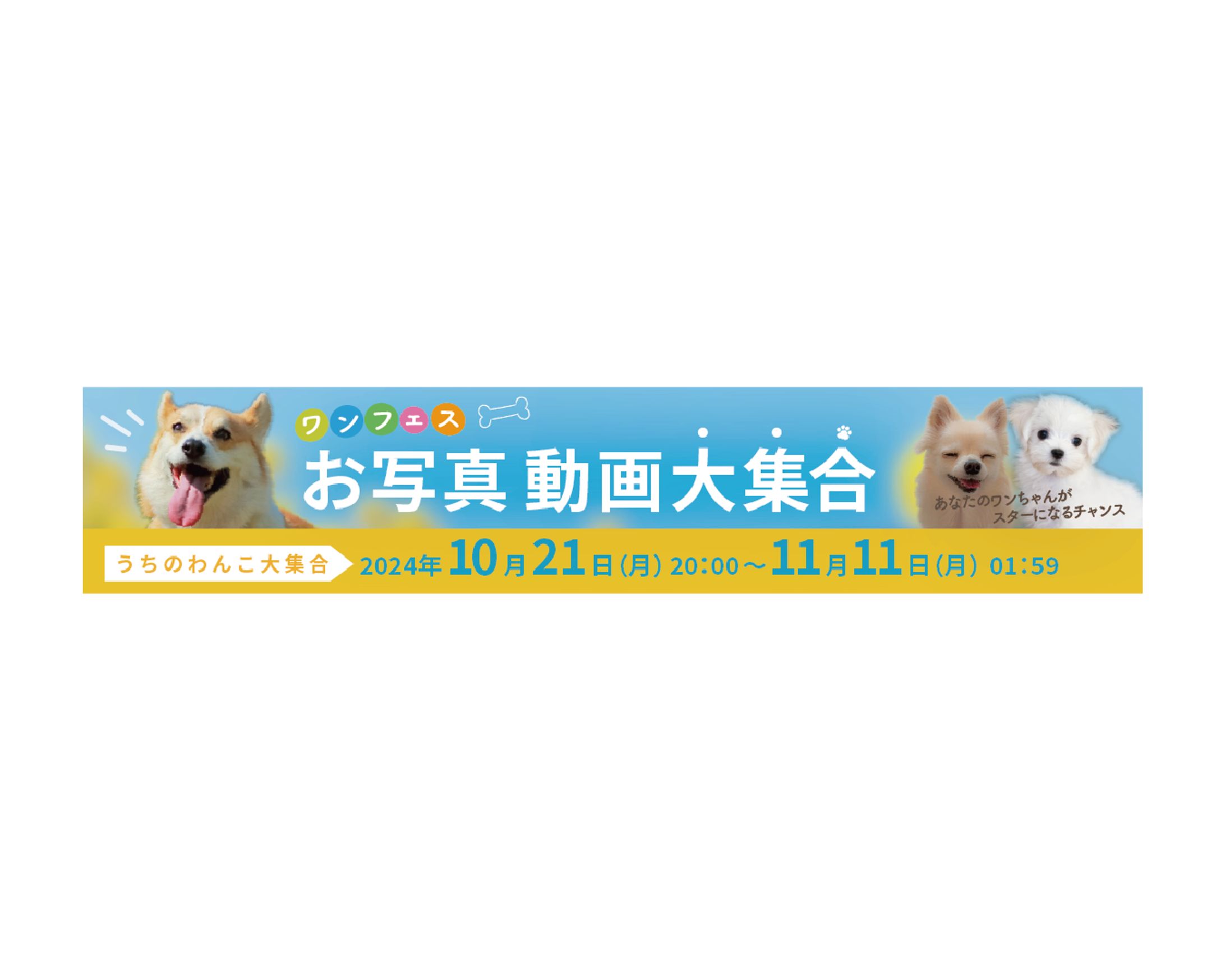 【バナー】キャンペーンバナー-1