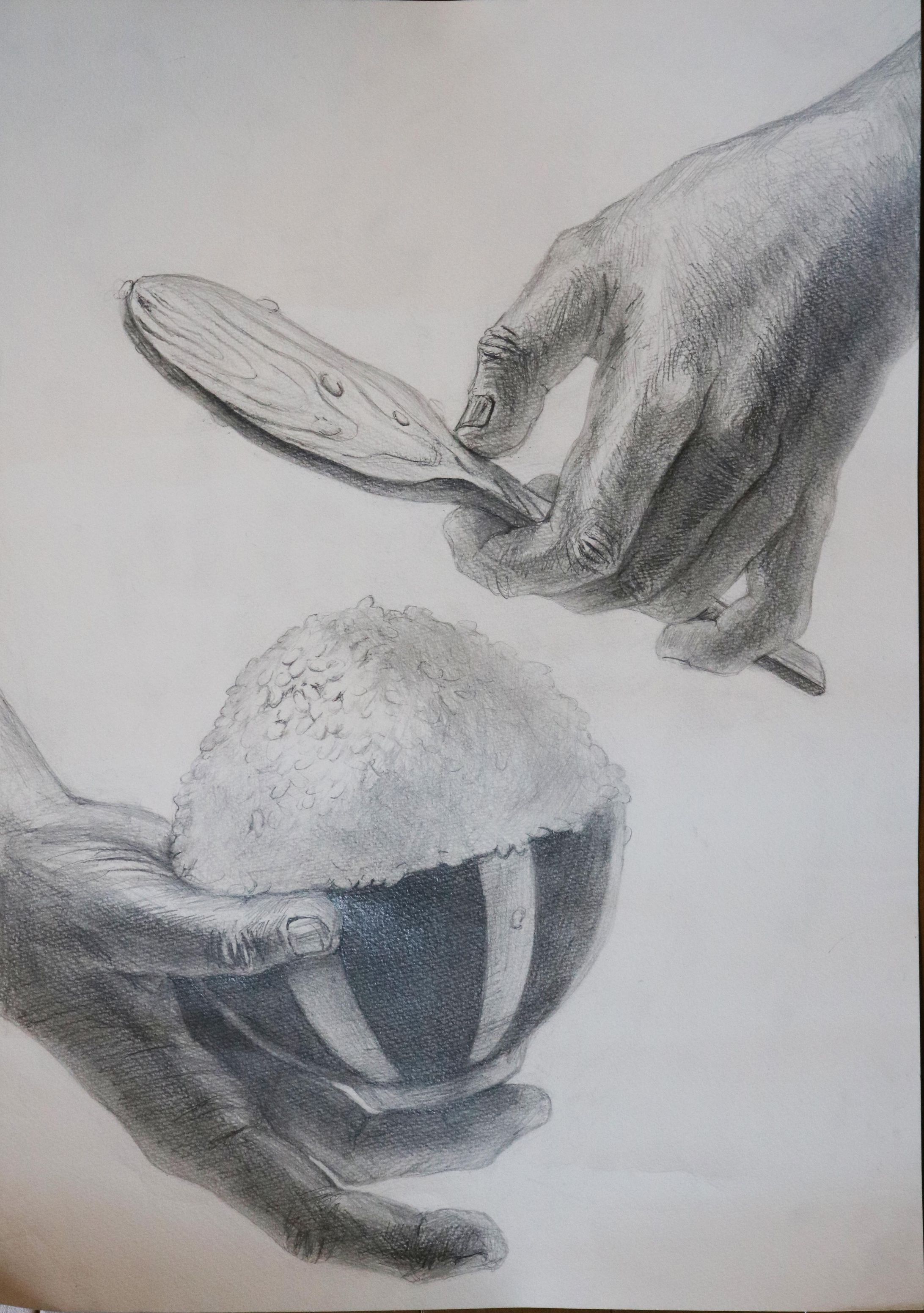 ご飯をよそう両手-1