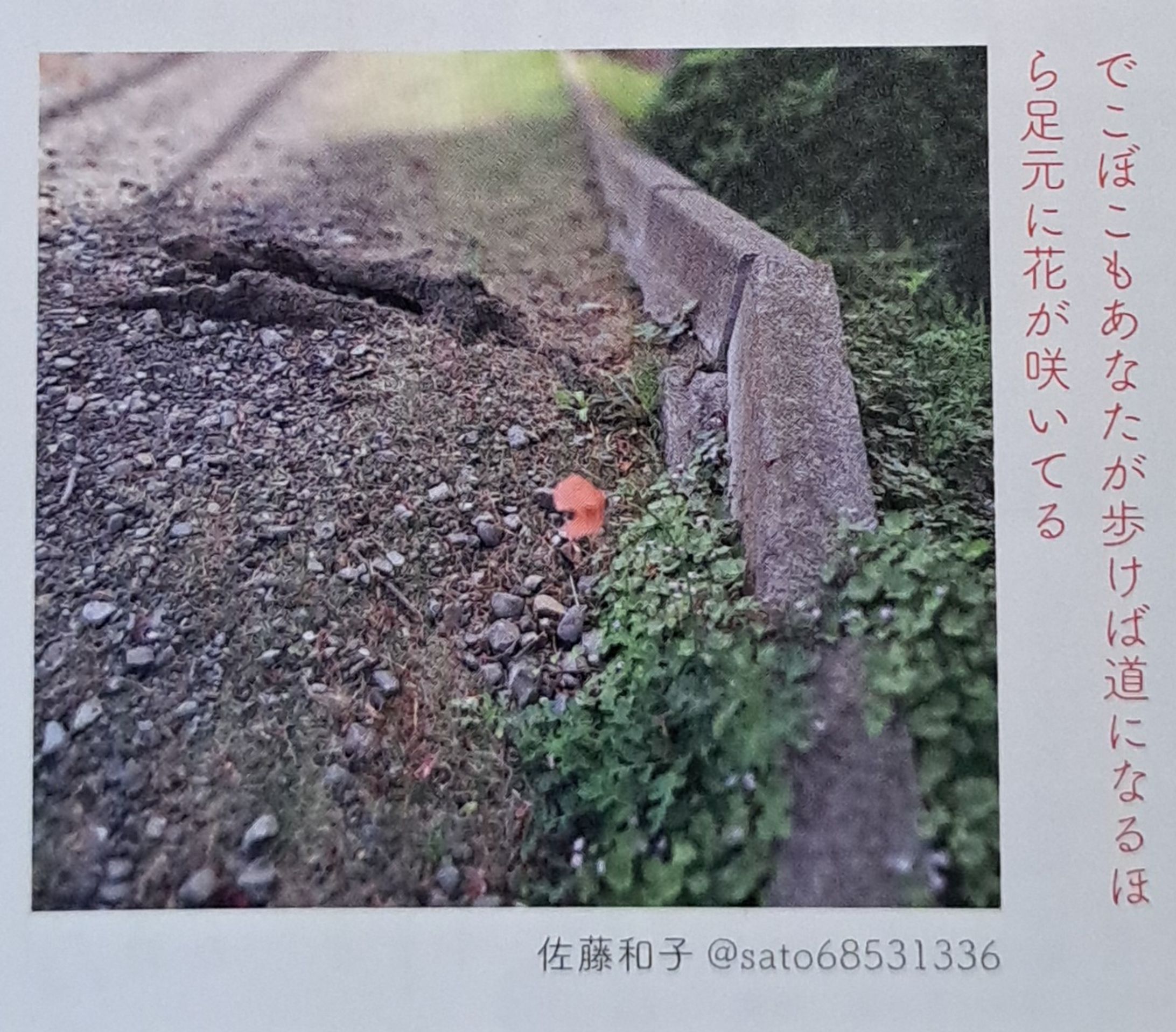 #短歌写真部　NHK短歌　テキスト3月号-1