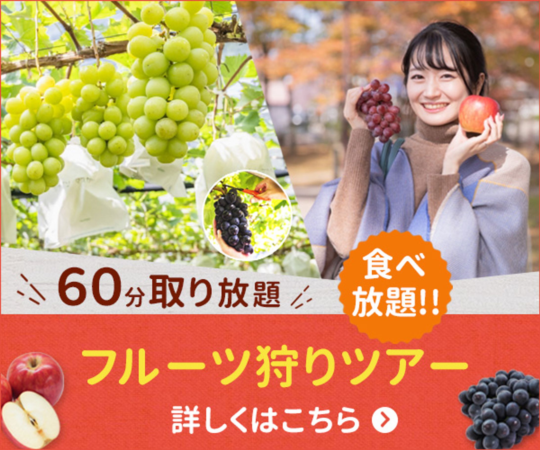 フルーツ狩りツアー-1