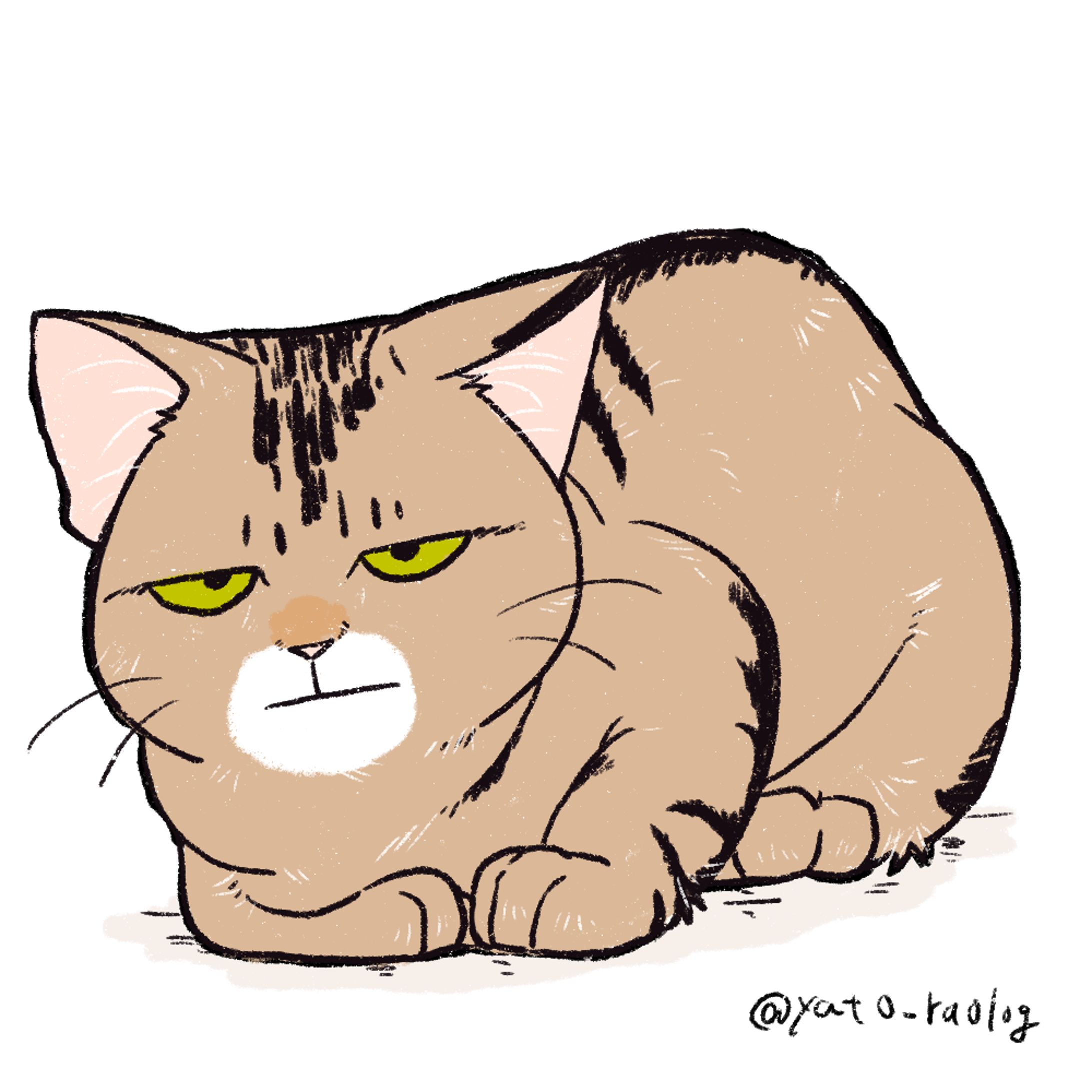 cat illustration１-1