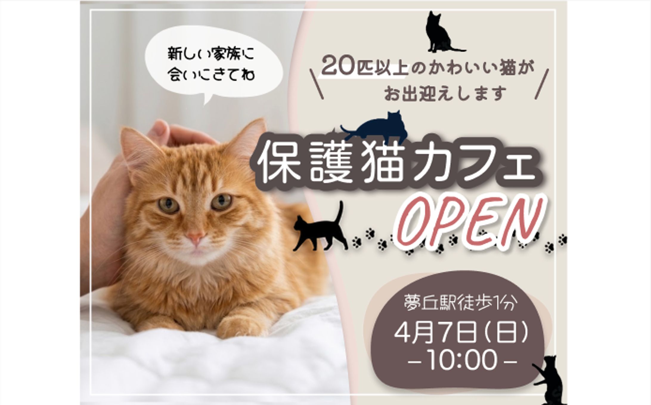 保護猫カフェのオープン バナー-1
