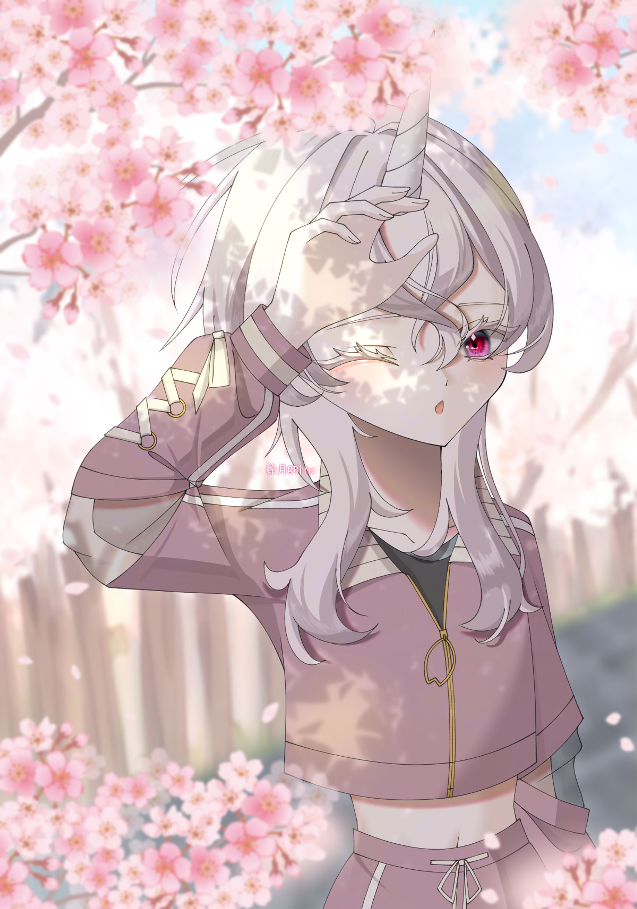 桜の木漏れ日-1