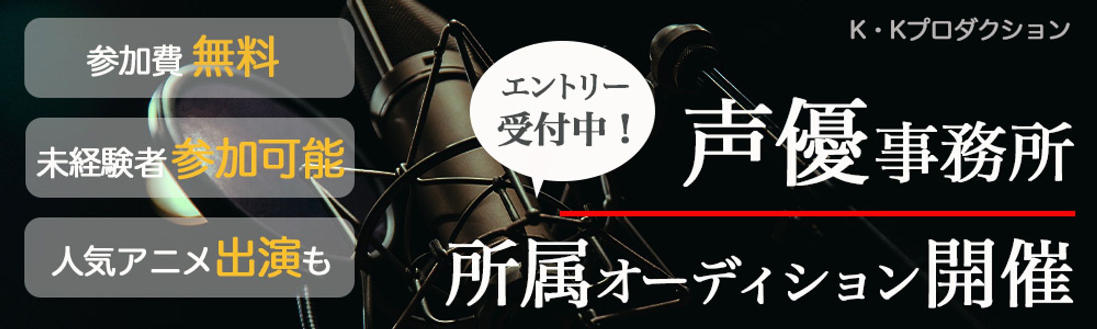 VA audition banner-1