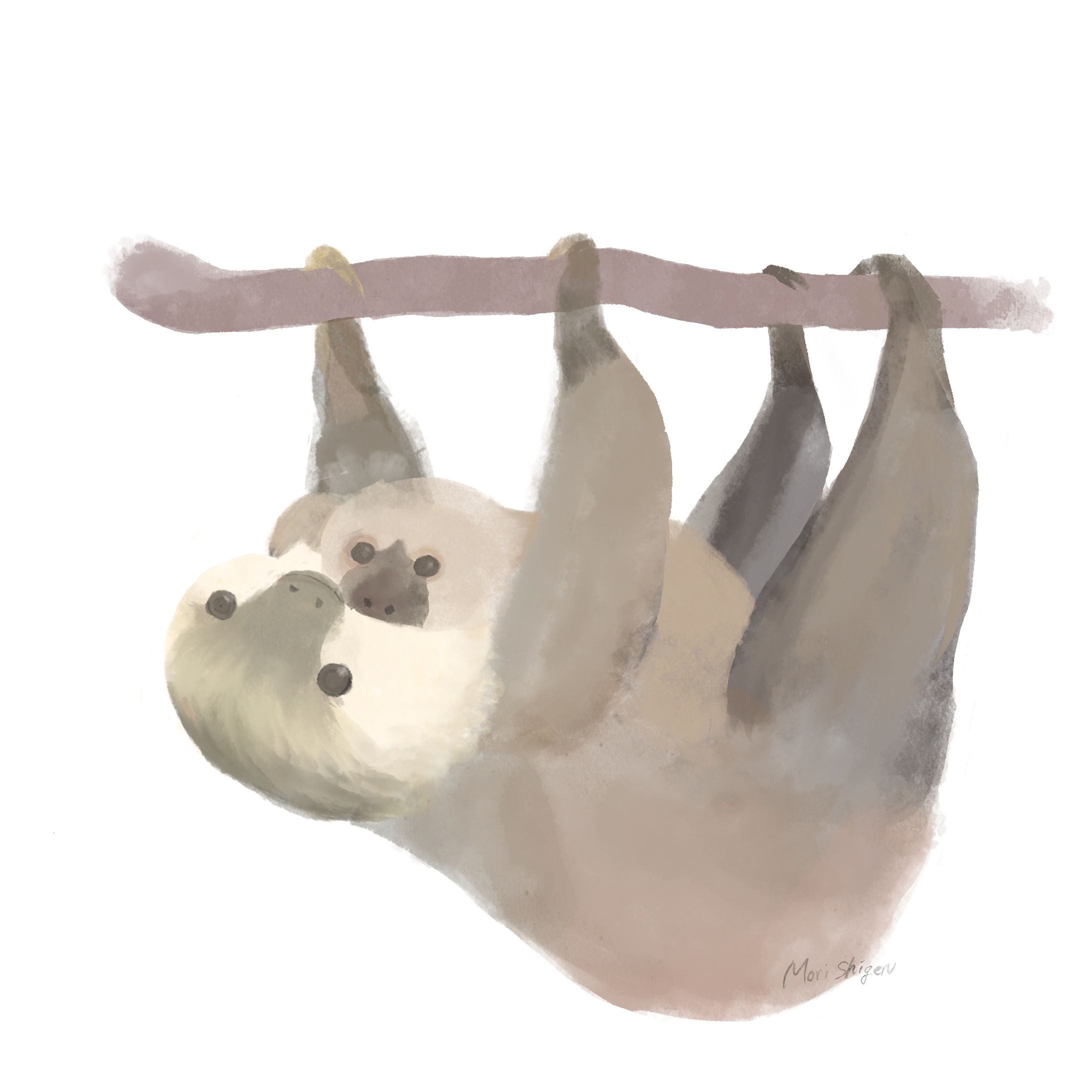 ナマケモノ　親子　-1