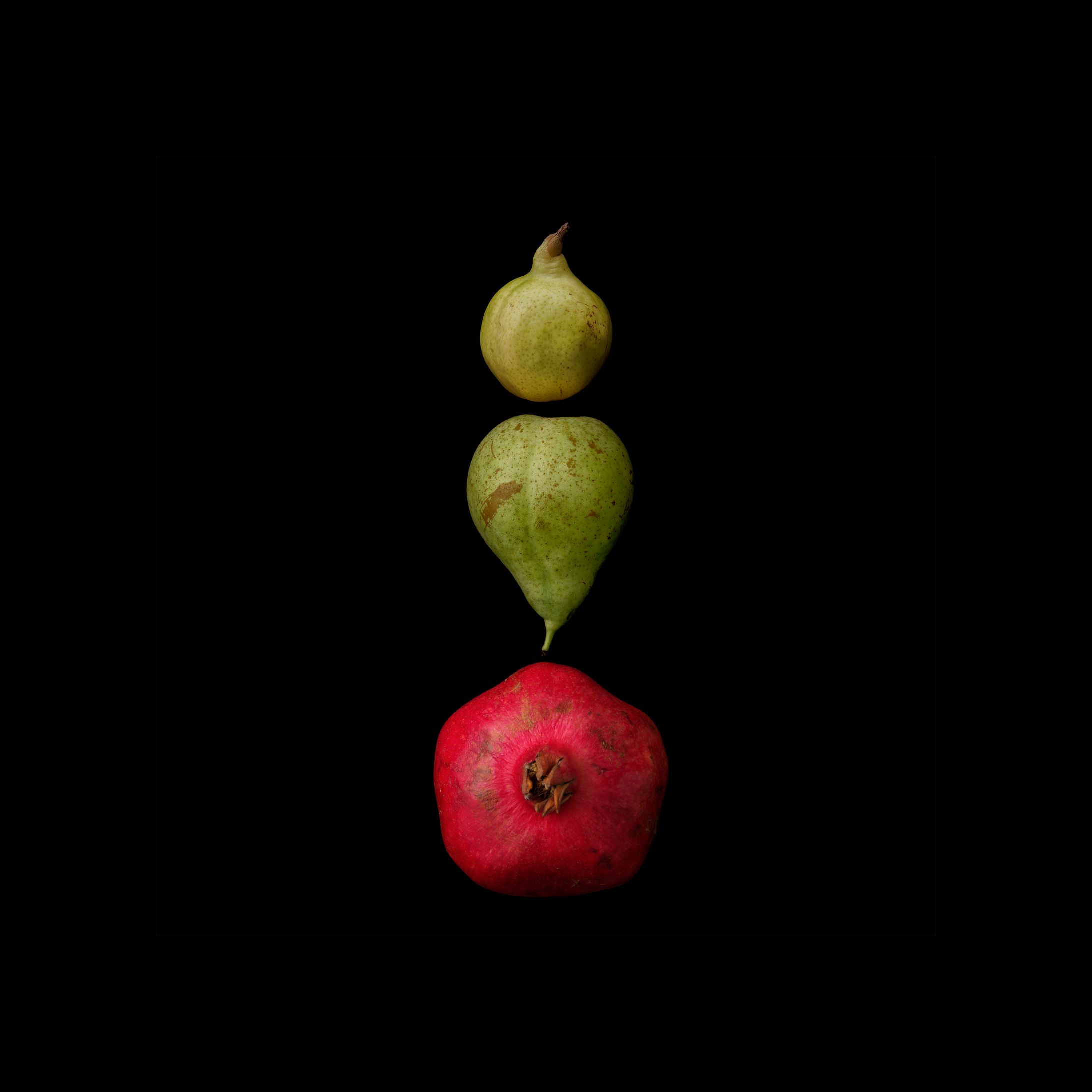 Portrait of Fruit /CryptoFruitions: As a fruit farmer-1