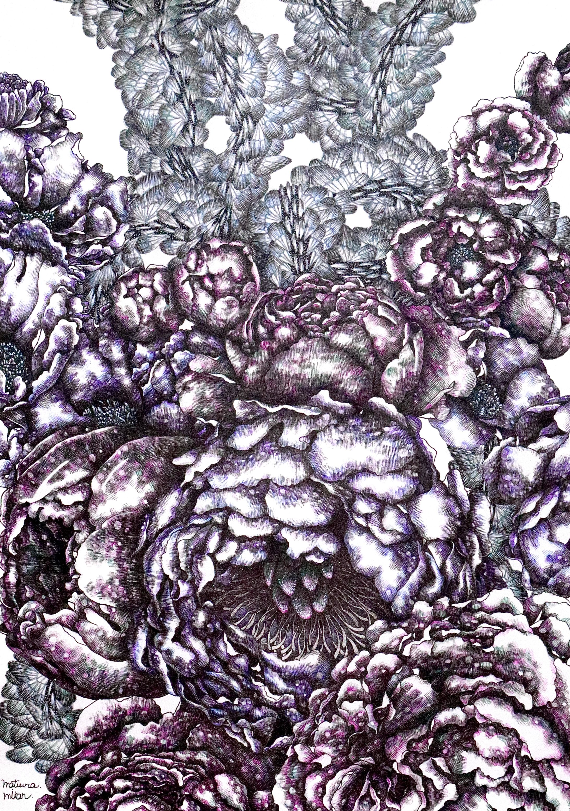芍薬と牡丹＋α peony and peony plus α-1
