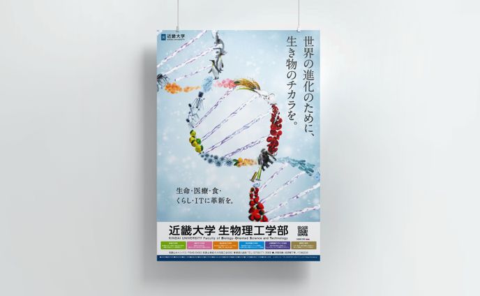 趣味、カタログ