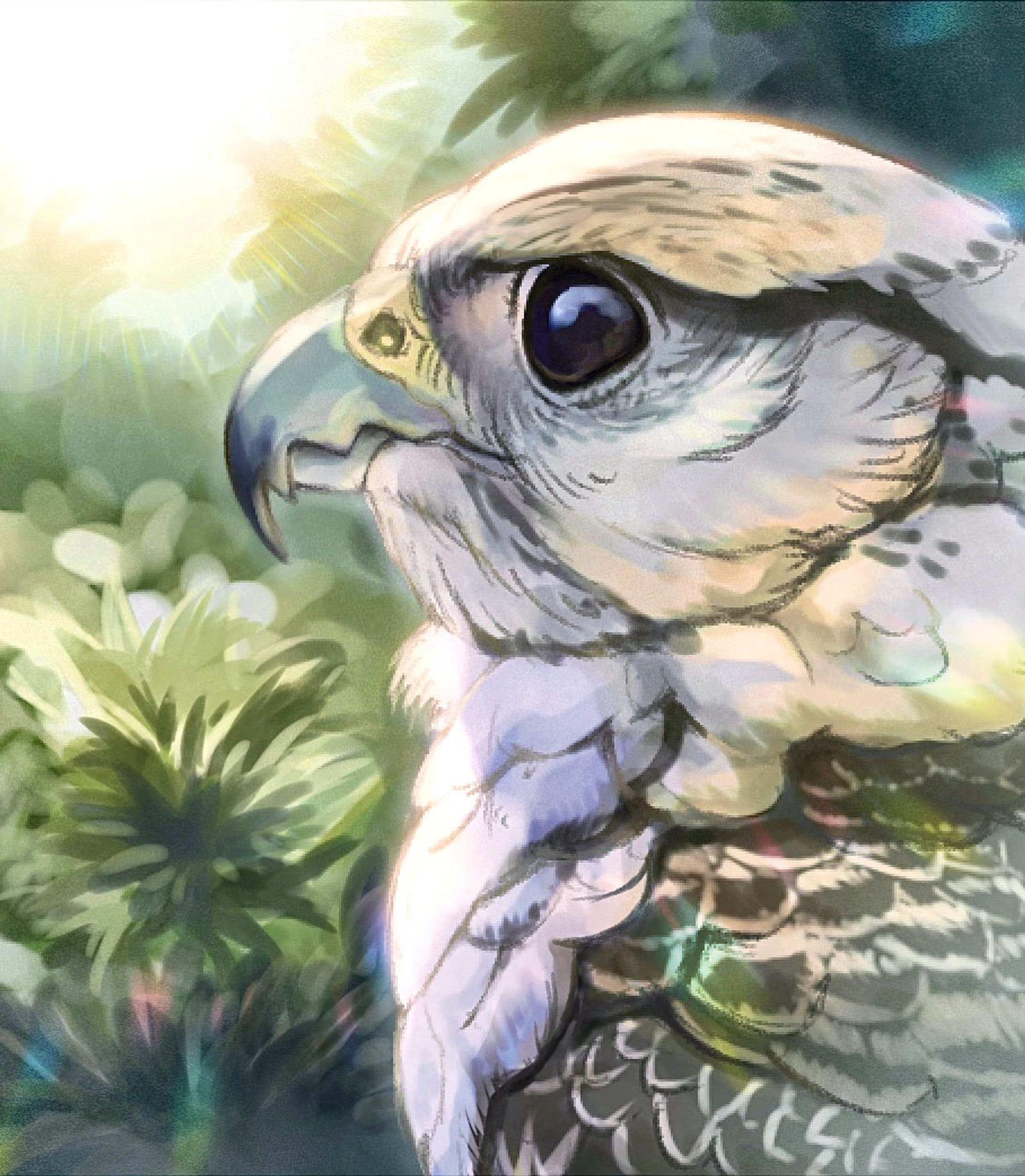 レヴィン(家の鳥)-1