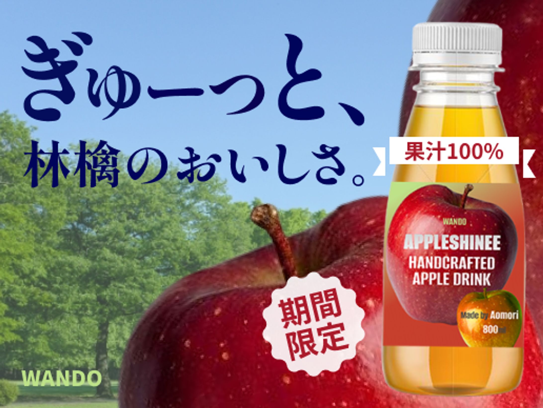 バナー-1