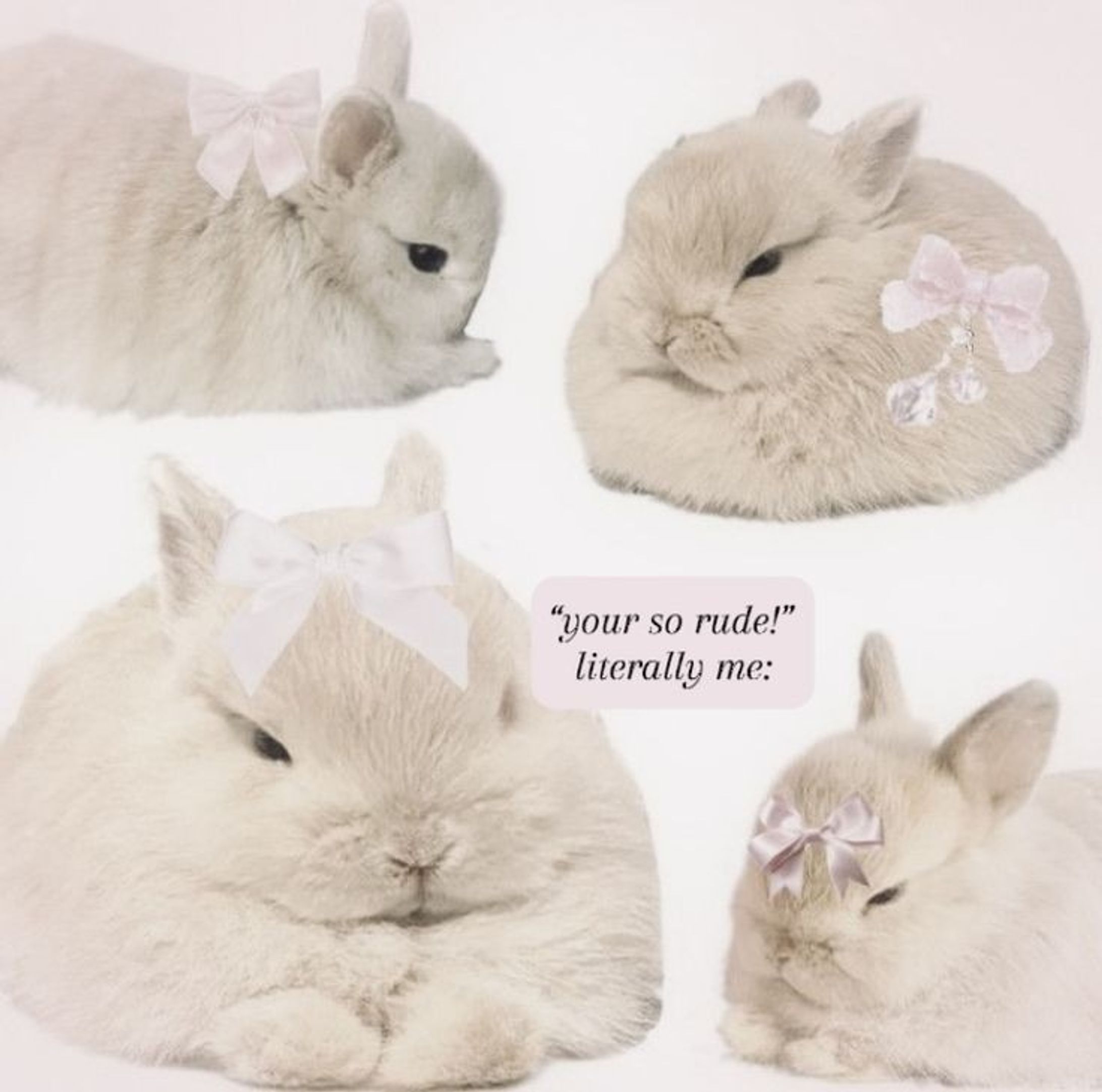 manips type : selfie camera 🐇♥️-1