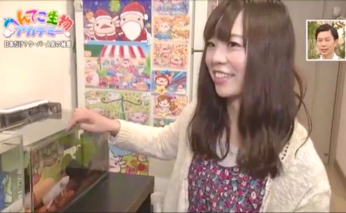 TV・メディア出演