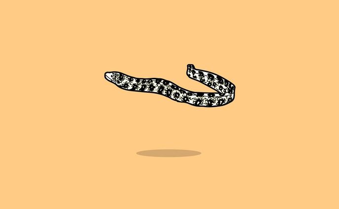 海の生き物、ハウツー