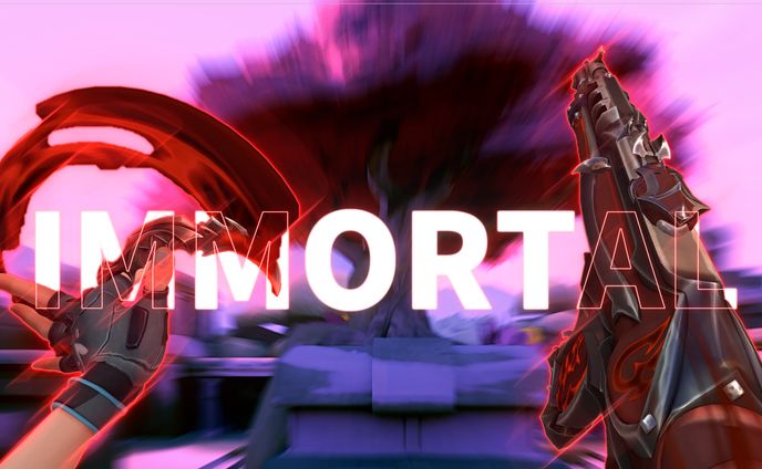 イモータルHighlight