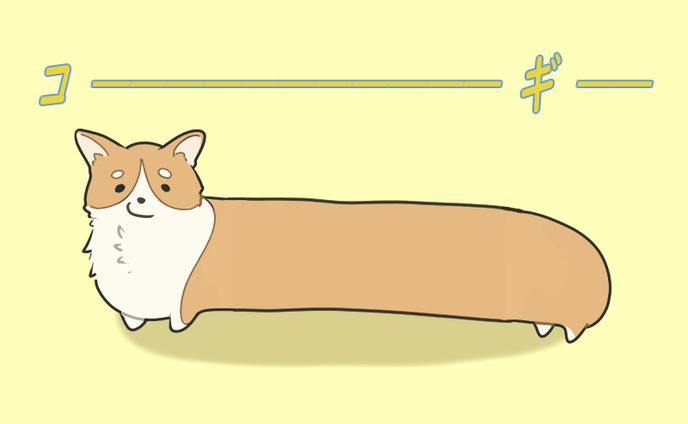 コーギー
