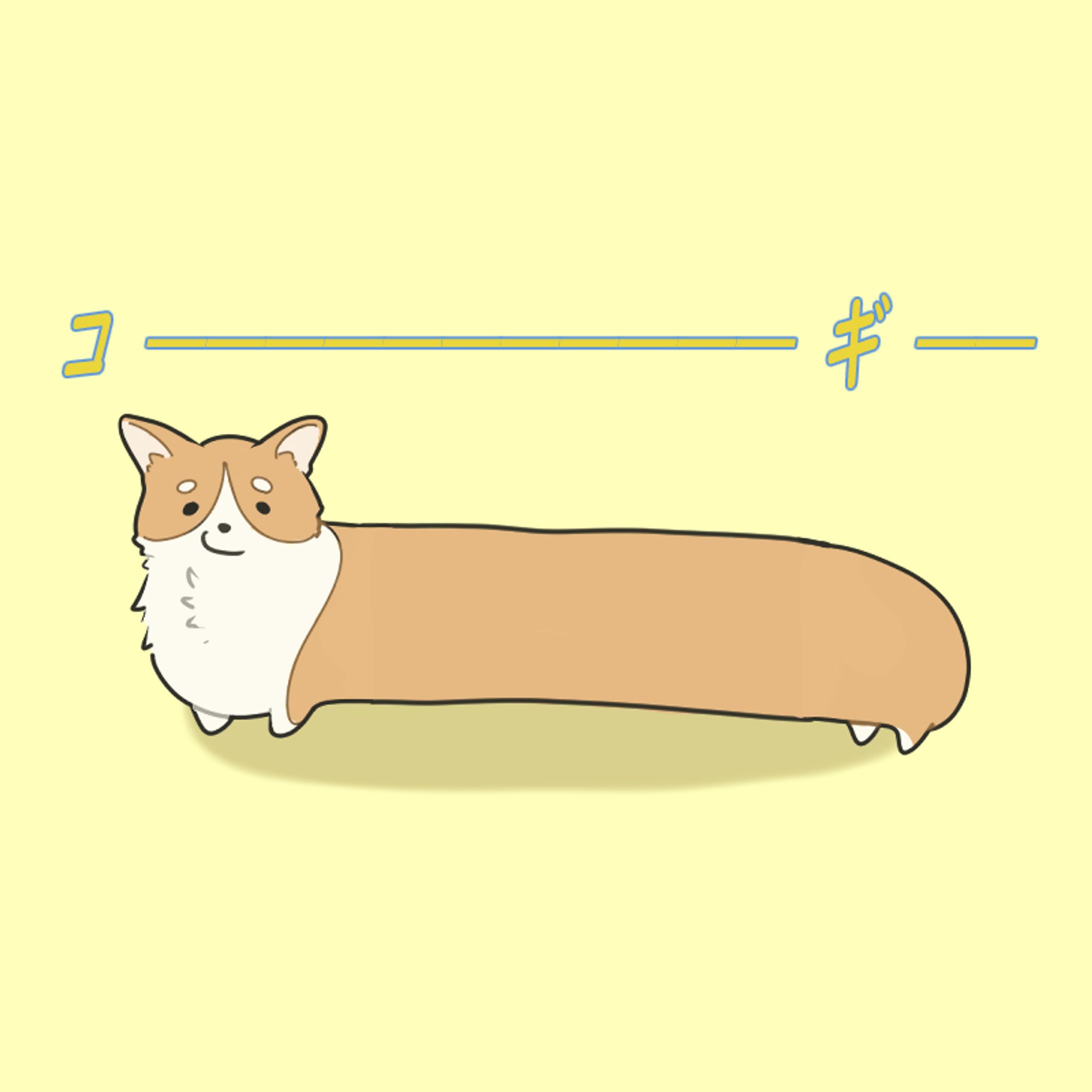 コーギー-1