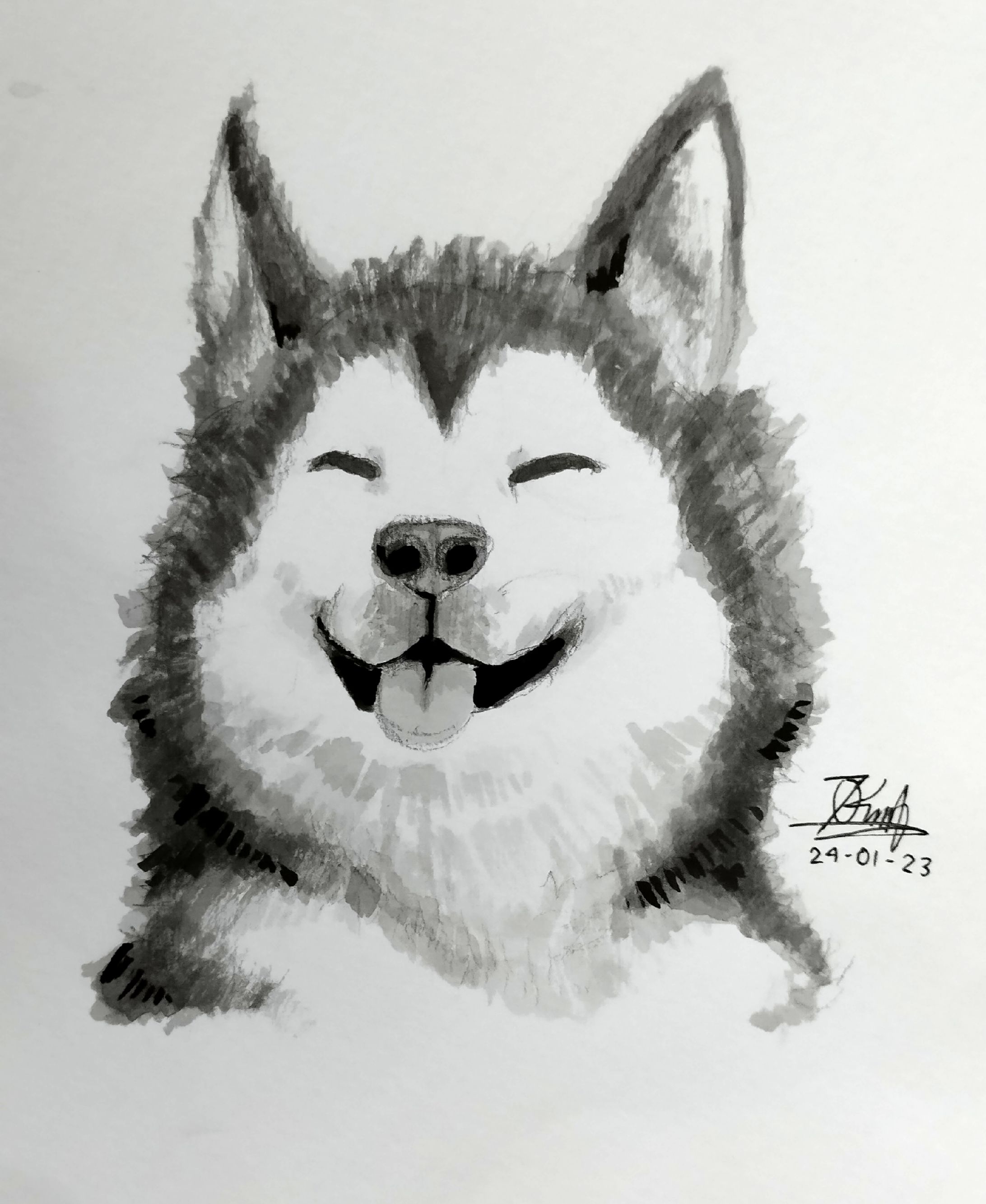The Smiling Husky-1