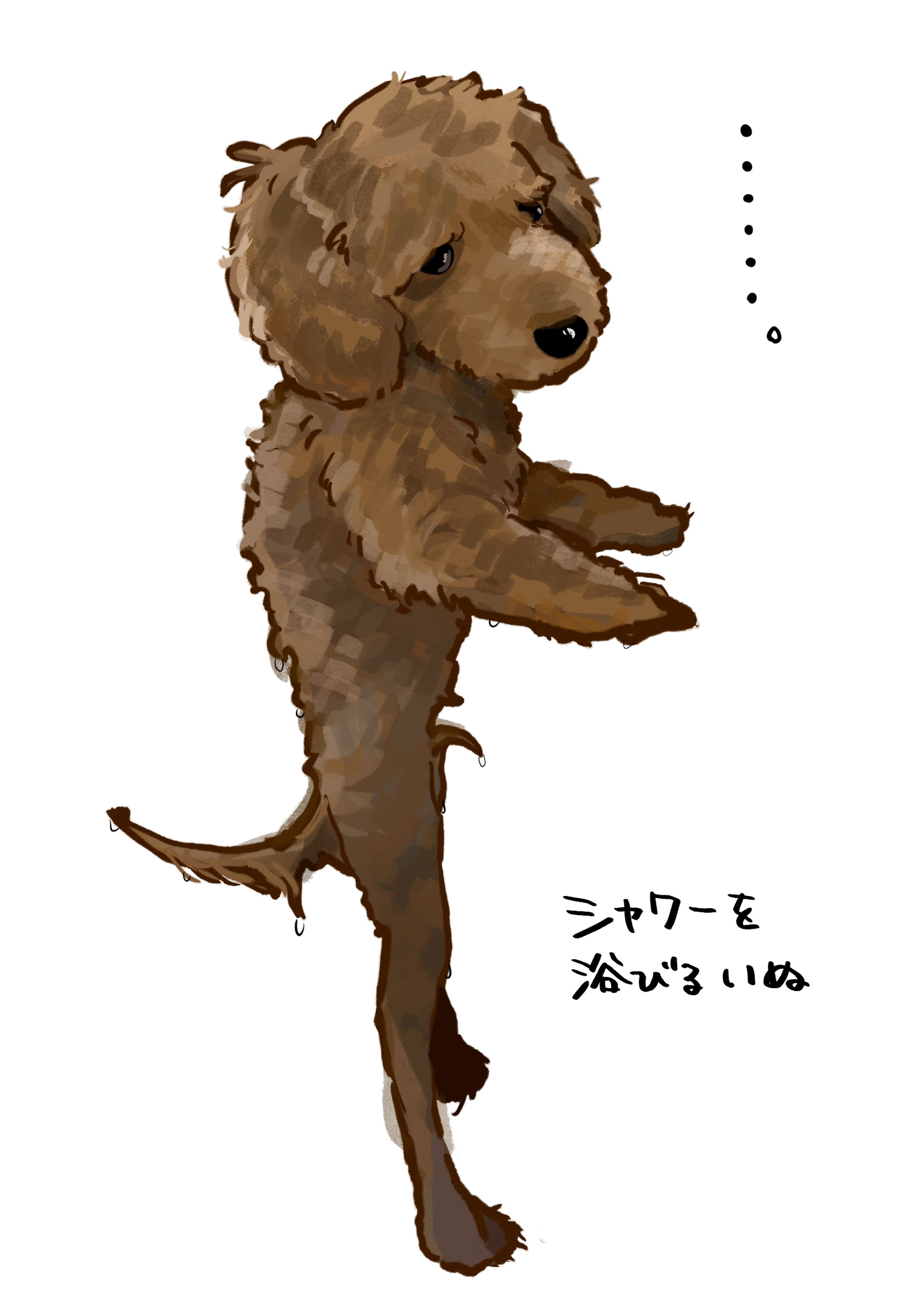 動物イラスト-1