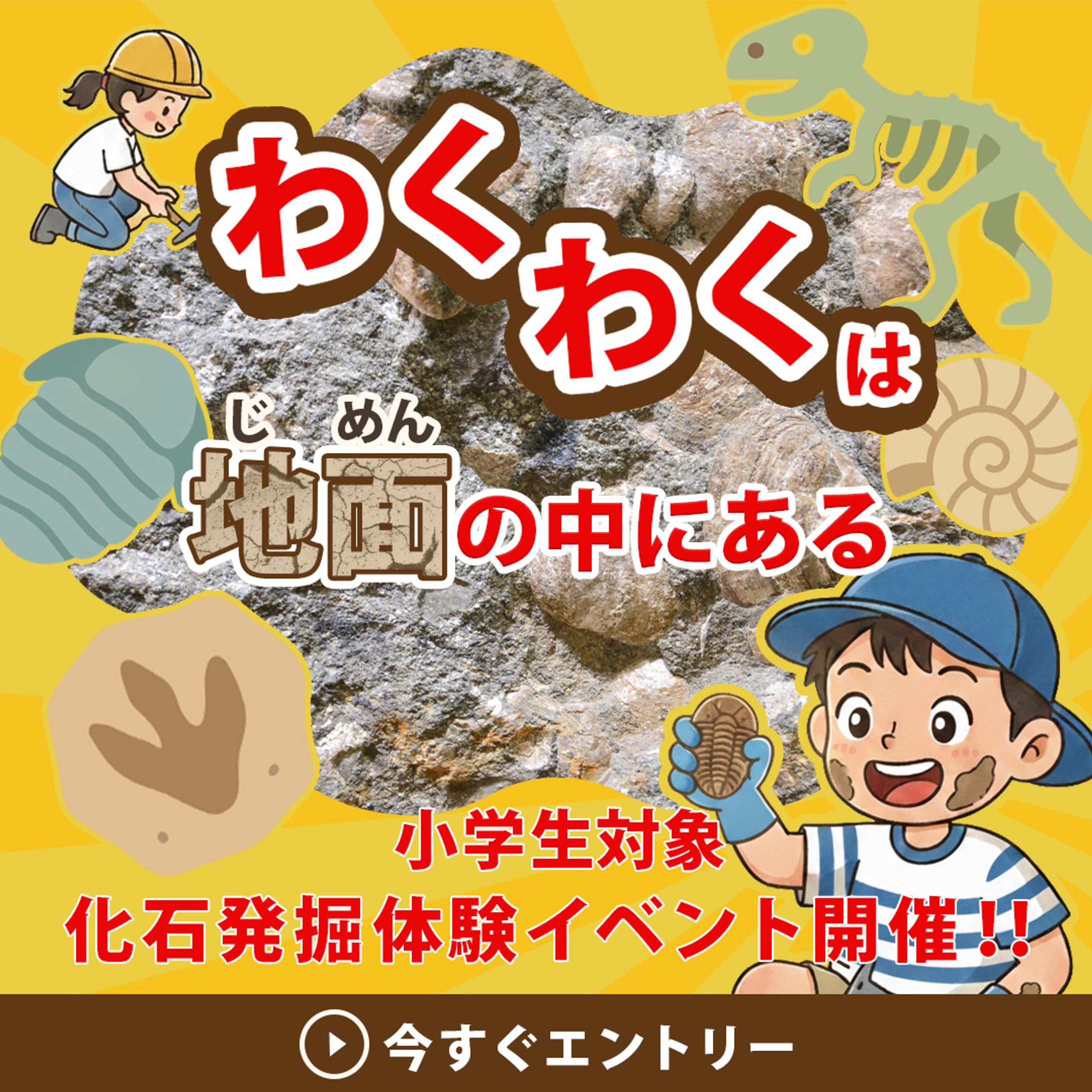 バナー：化石発掘体験-1
