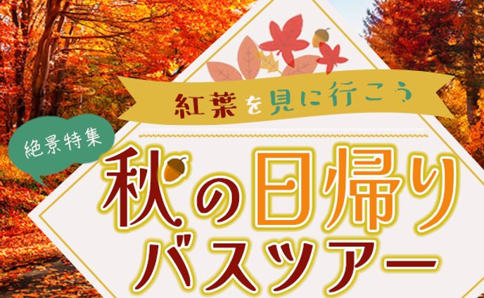 【広告バナー】紅葉狩りツアー(仮想)