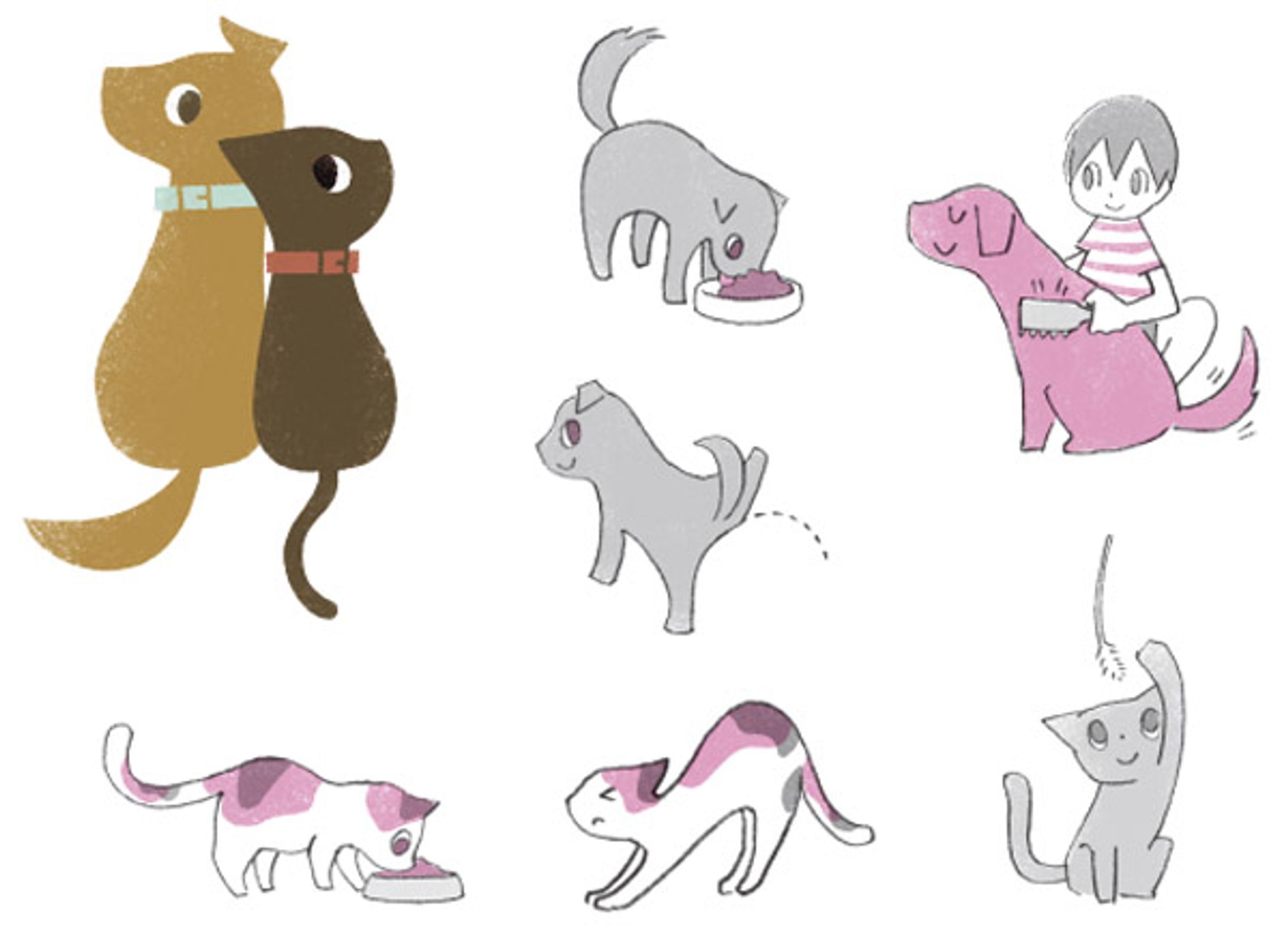 my pet healthcare diary-1