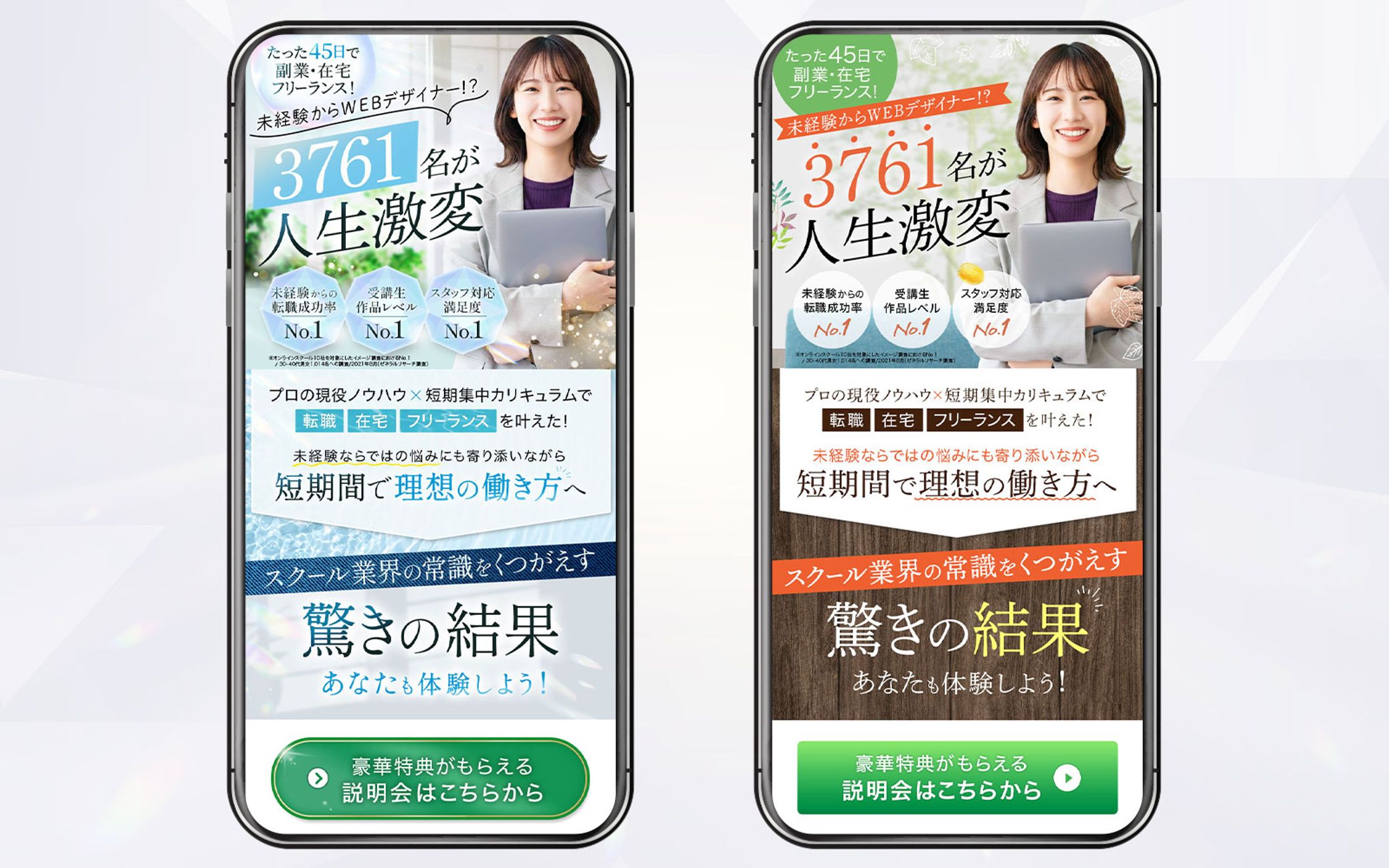 LP：テイスト違い 2種類-1