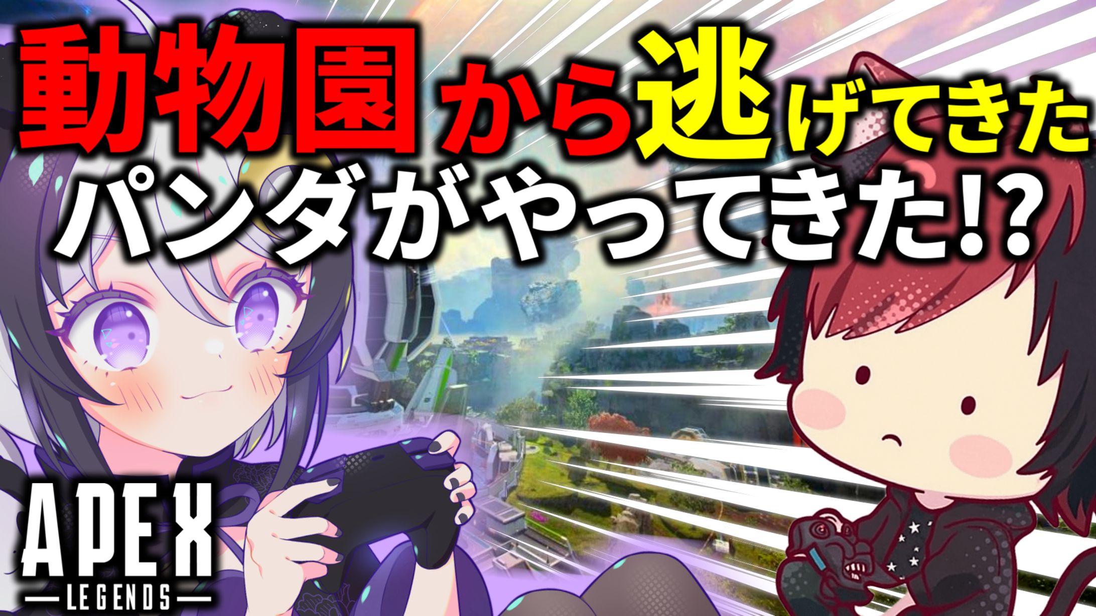 空き様：動物園から逃げてきたパンダがやってきた！？-1