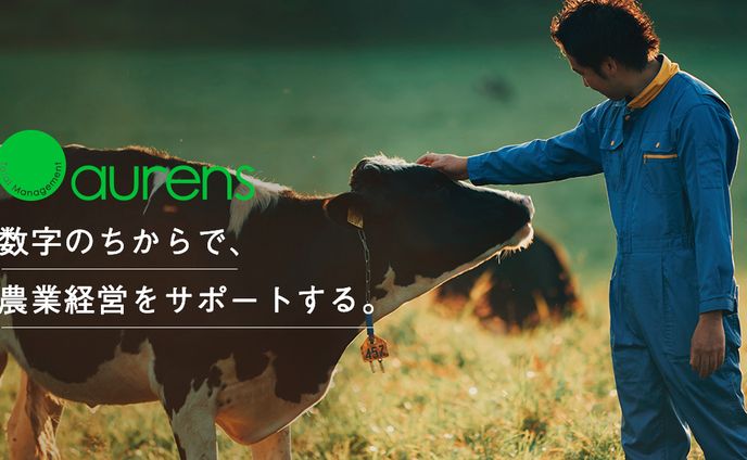 aurens 