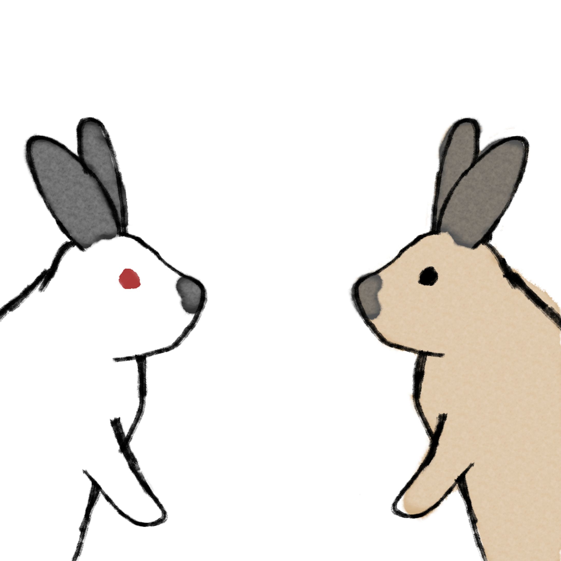 うさぎ-1