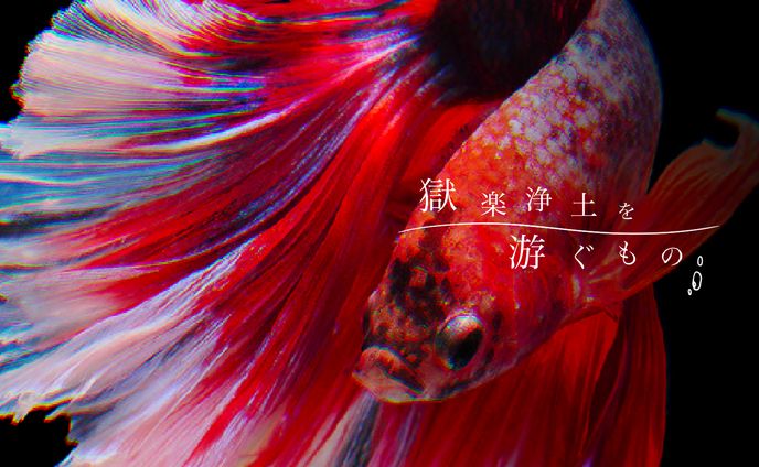 【Coc】獄楽浄土を游ぐもの