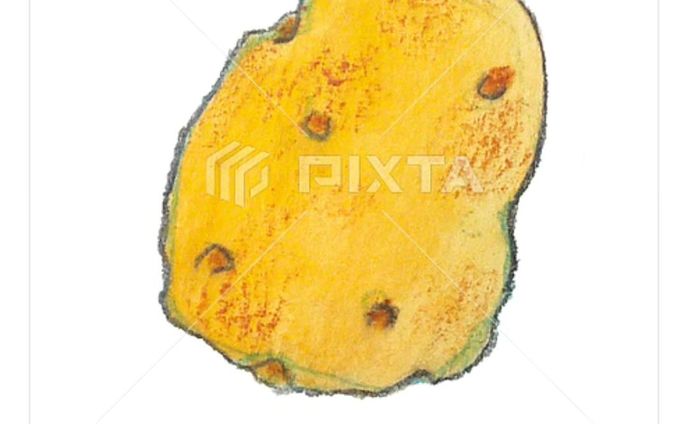 ⁡■【お野菜】
＼🥔じゃがいも🥔／
⁡⁡
⁡⁡
⁡素材イラストとしてPIXTAさまにて販売中〜⁡
⁡よろしくお願いします⁡⁡🙇🏻‍♀️‪‪´-
⁡⁡⁡⁡
⁡
https://pixta.jp/illustration/85452406
⁡⁡⁡
⁡⁡┈┈┈┈┈┈┈┈┈┈⁡
⁡⁡芽を取るのがけっこう好き((ﾎﾞｿ⁡
⁡
⁡
⁡
⁡#素材イラスト #pixta #じゃがいも #potato #watercolors #水彩色鉛筆 #illustration #イラスト #クライアントさんと繋がりたい #挿絵 #出版社さんと繋がりたい  #食べ物イラスト #野菜イラスト #雑誌のお仕事をしたい #飲食店さんを応援したい #書籍のお仕事をしたい