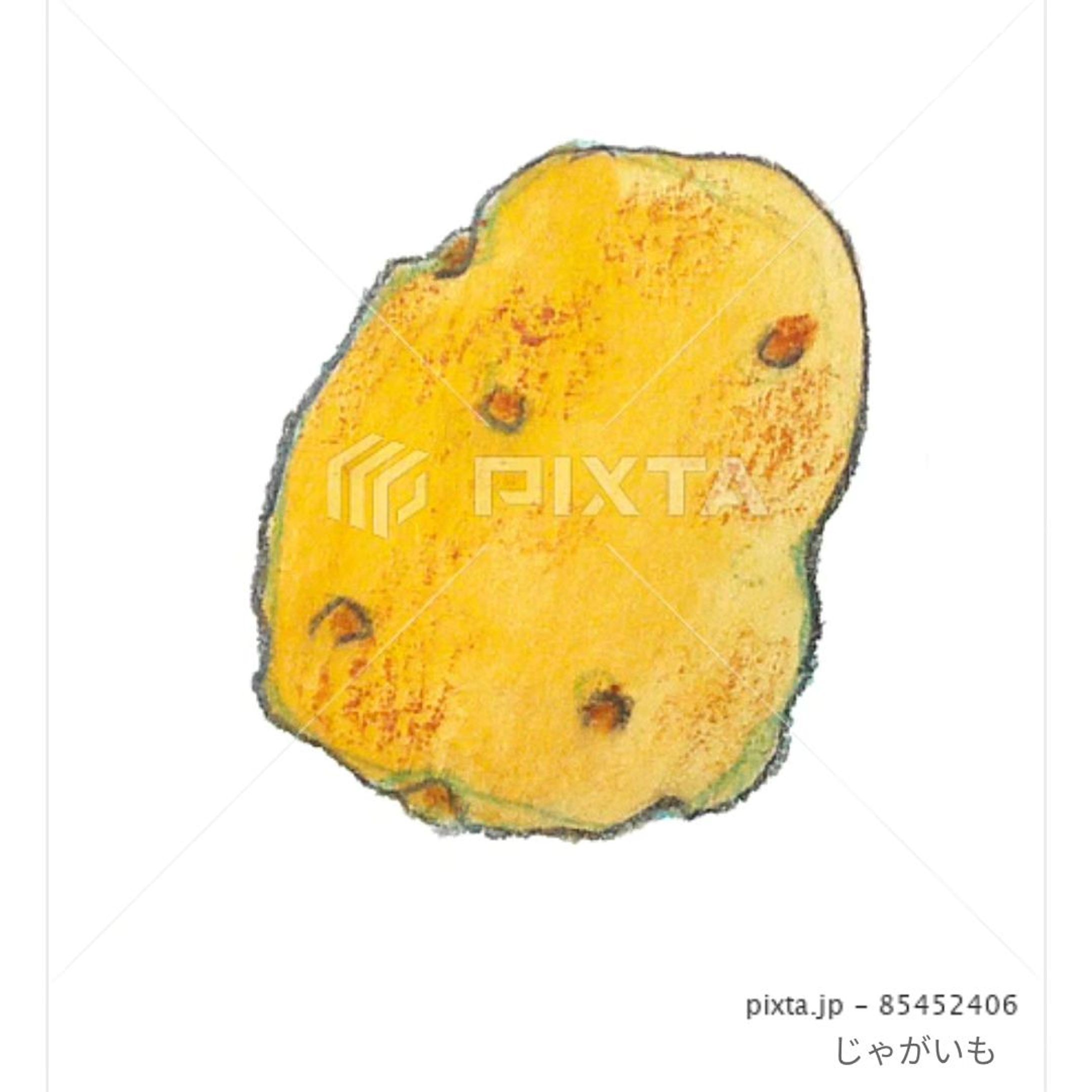 ⁡■【お野菜】
＼🥔じゃがいも🥔／
⁡⁡
⁡⁡
⁡素材イラストとしてPIXTAさまにて販売中〜⁡
⁡よろしくお願いします⁡⁡🙇🏻‍♀️‪‪´-
⁡⁡⁡⁡
⁡
https://pixta.jp/illustration/85452406
⁡⁡⁡
⁡⁡┈┈┈┈┈┈┈┈┈┈⁡
⁡⁡芽を取るのがけっこう好き((ﾎﾞｿ⁡
⁡
⁡
⁡
⁡#素材イラスト #pixta #じゃがいも #potato #watercolors #水彩色鉛筆 #illustration #イラスト #クライアントさんと繋がりたい #挿絵 #出版社さんと繋がりたい  #食べ物イラスト #野菜イラスト #雑誌のお仕事をしたい #飲食店さんを応援したい #書籍のお仕事をしたい-1