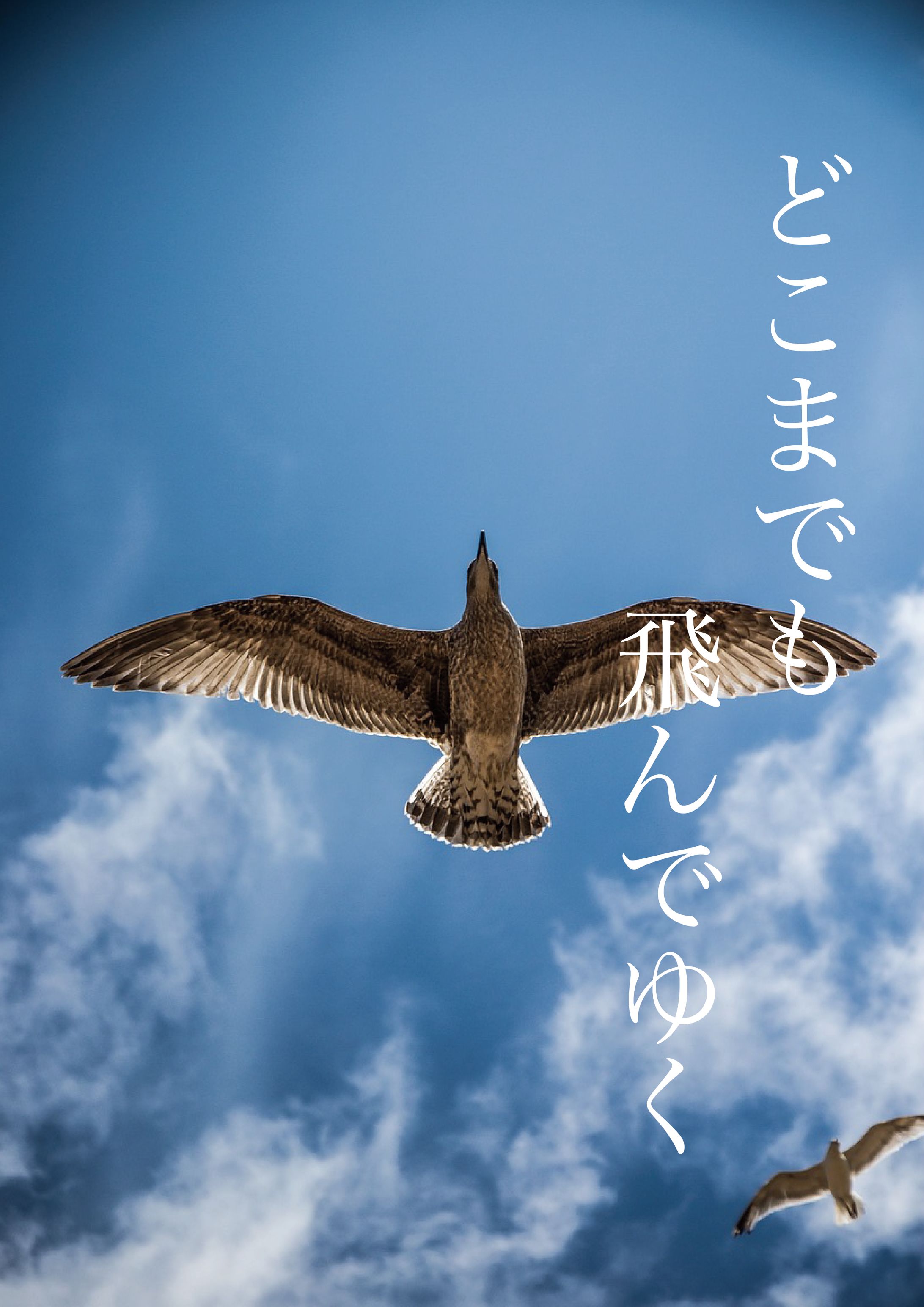 【チラシデザイン】どこまでも・・・-1