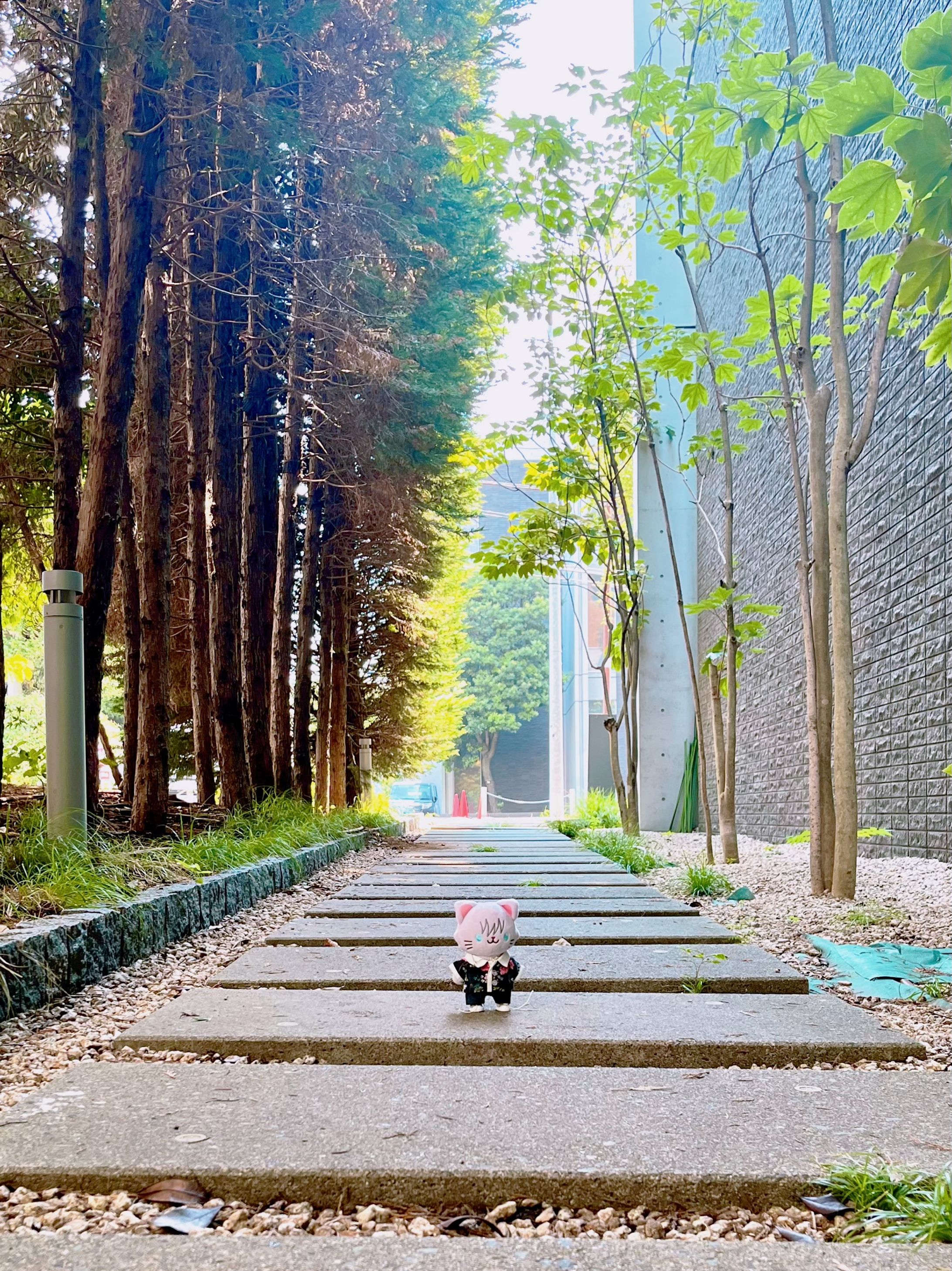 さとにゃんとコンサート-1