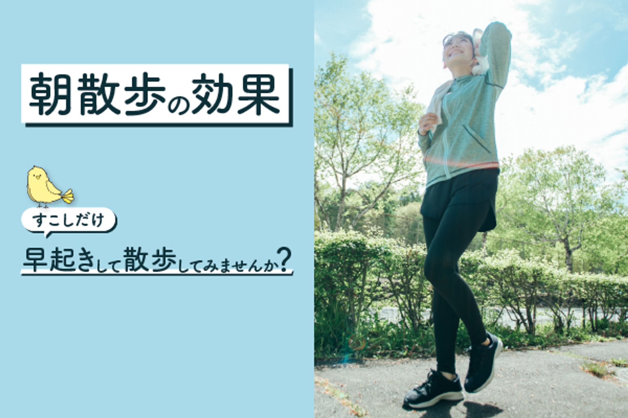 朝散歩の効果-1
