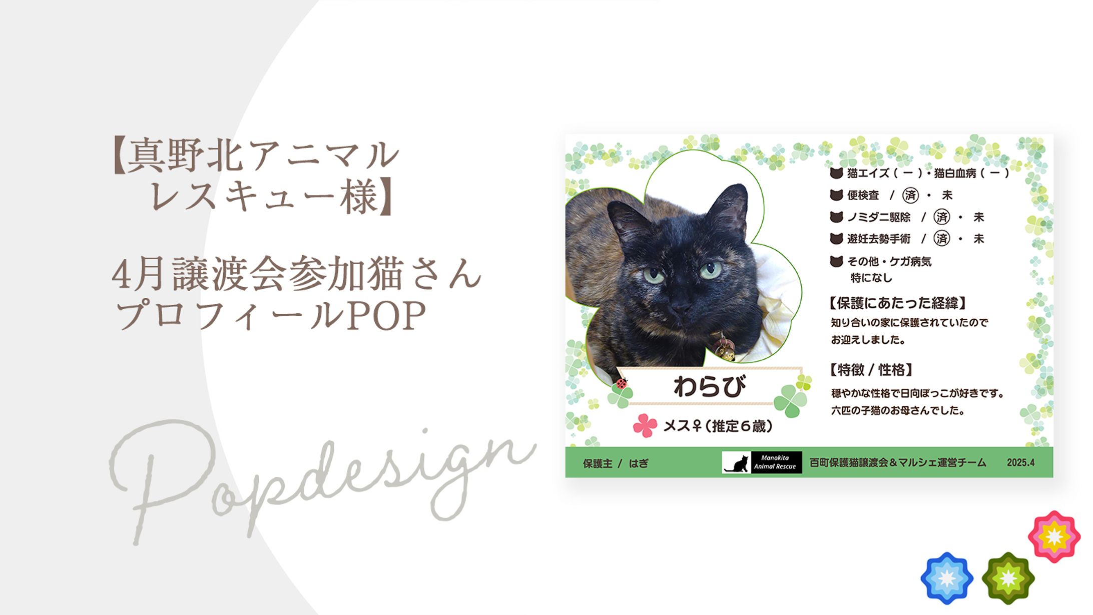 【真野北アニマル レスキュー様】4月譲渡会参加猫さん プロフィールPOP-1