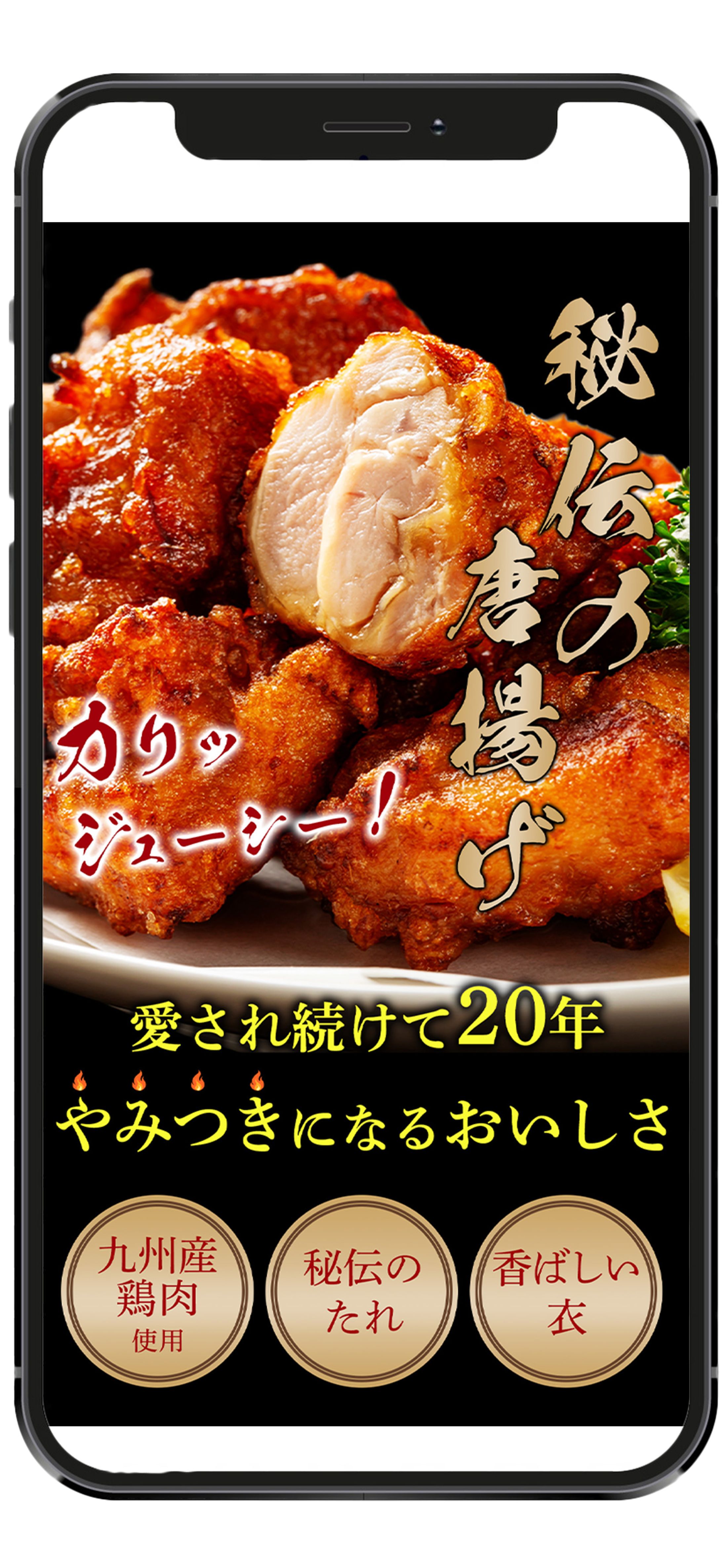 【架空LP】唐揚げ（FV）-1