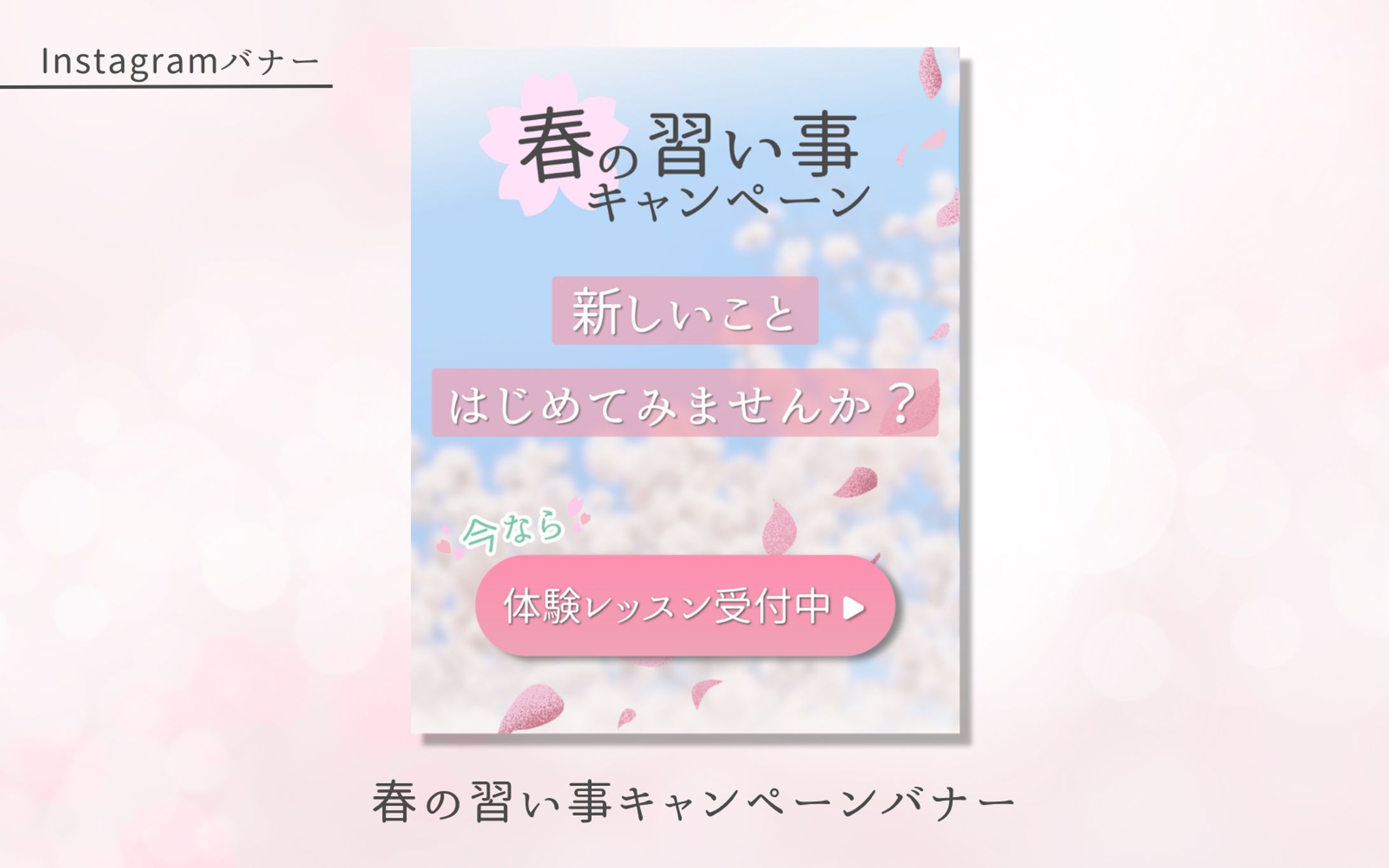 【案件】春の習い事キャンペーンバナー-1