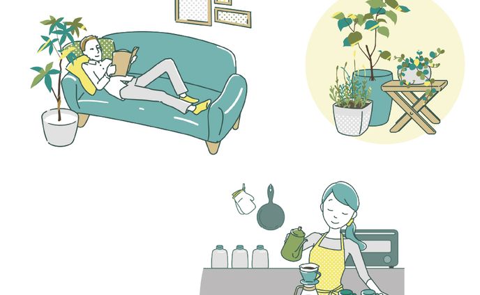 植物との暮らしをイメージしたイラスト（オリジナル）