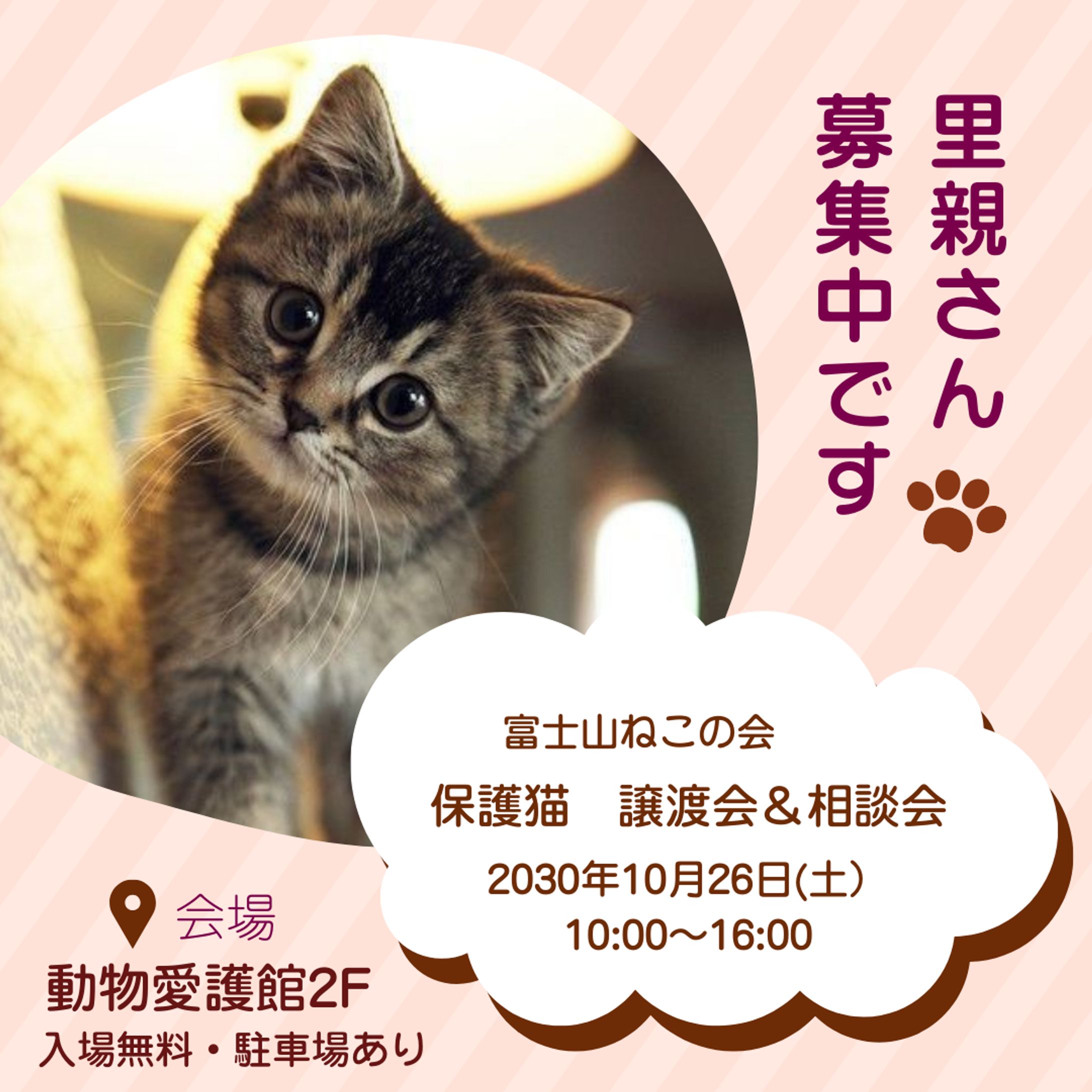 Instagram投稿用　画像-1