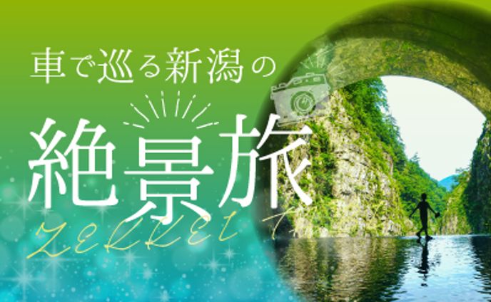 新潟観光サイト　LPデザイン