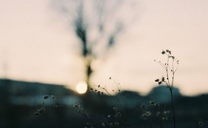 夕景