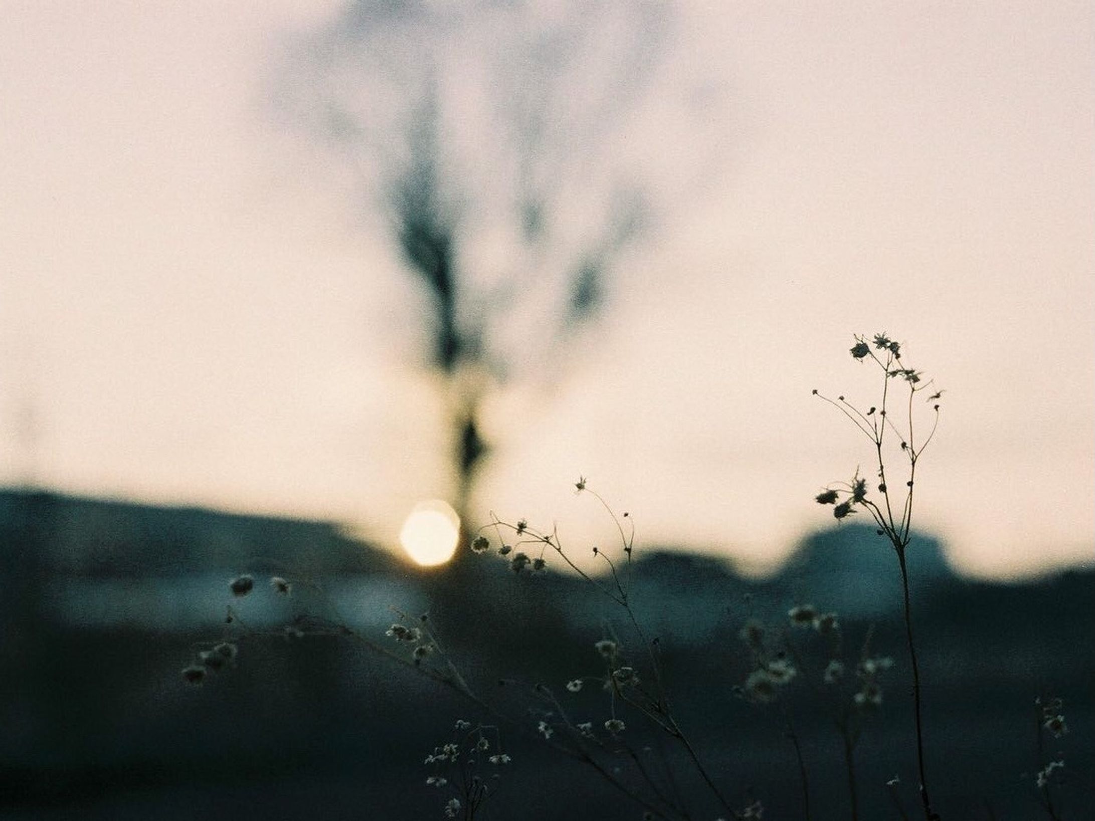 夕景-1