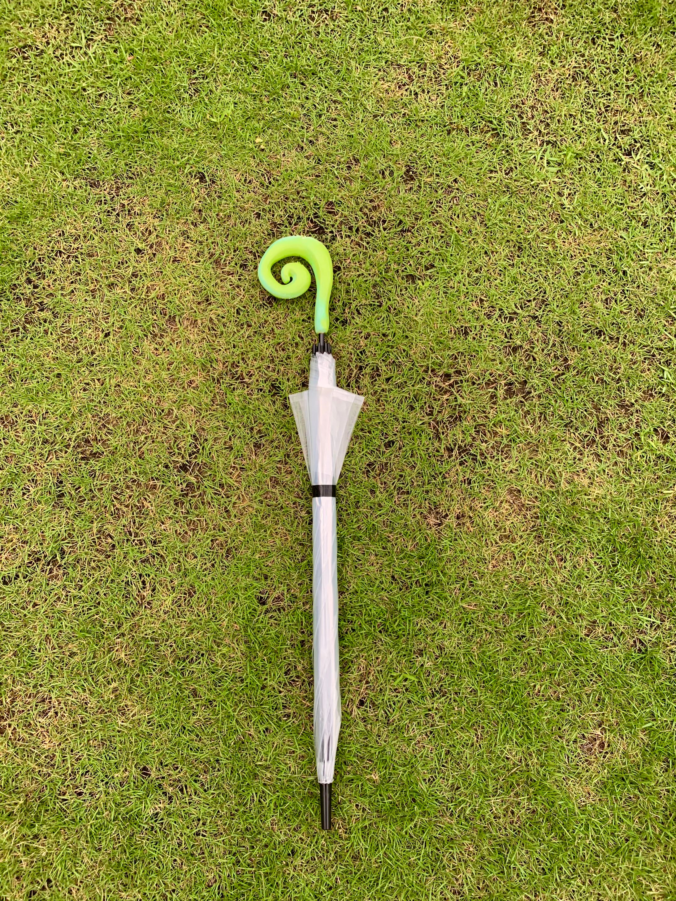 【傘の柄】ゼンマイをモデルにして作りました-1