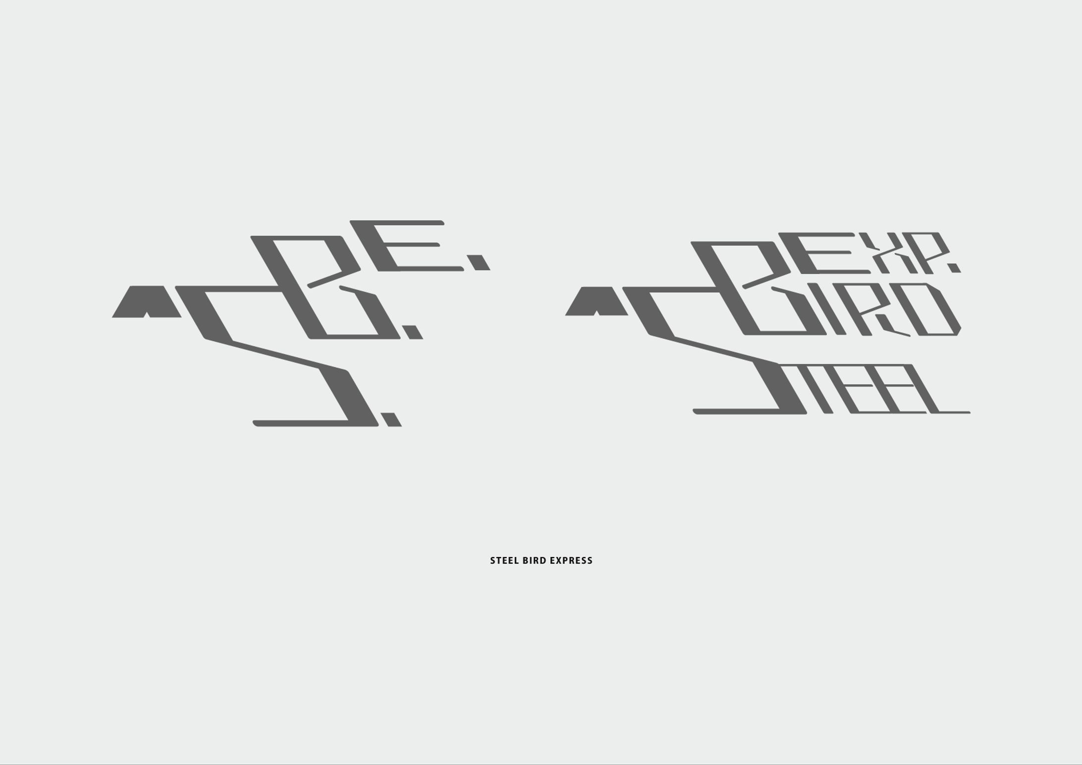 STEEL BIRD EXPRESS ロゴ-1