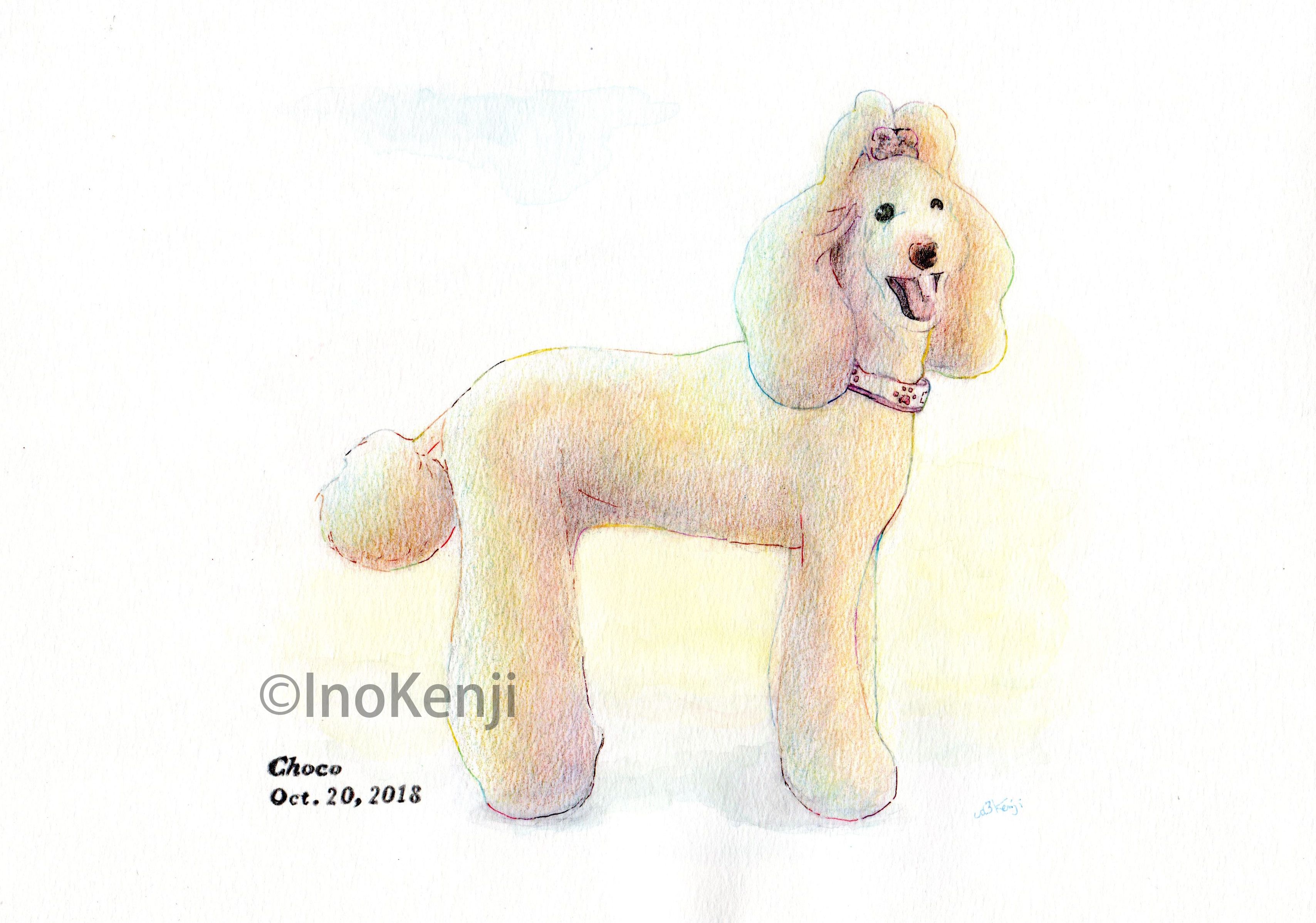 スケッチ、絵画、犬、スタンダードプードル 突っ込める