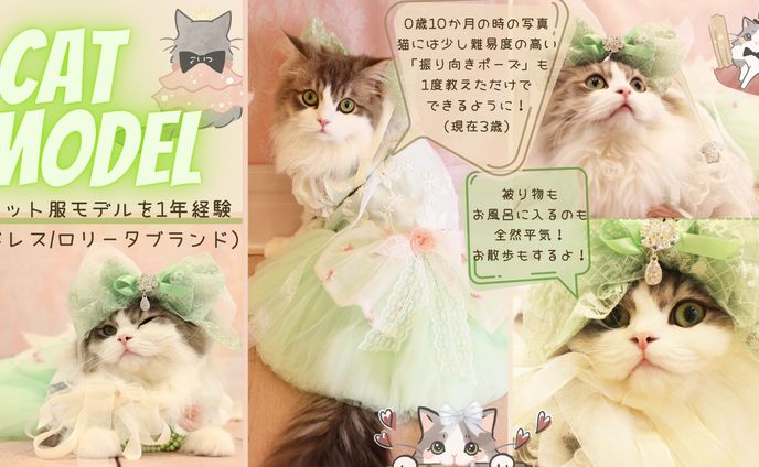 ペット服モデル