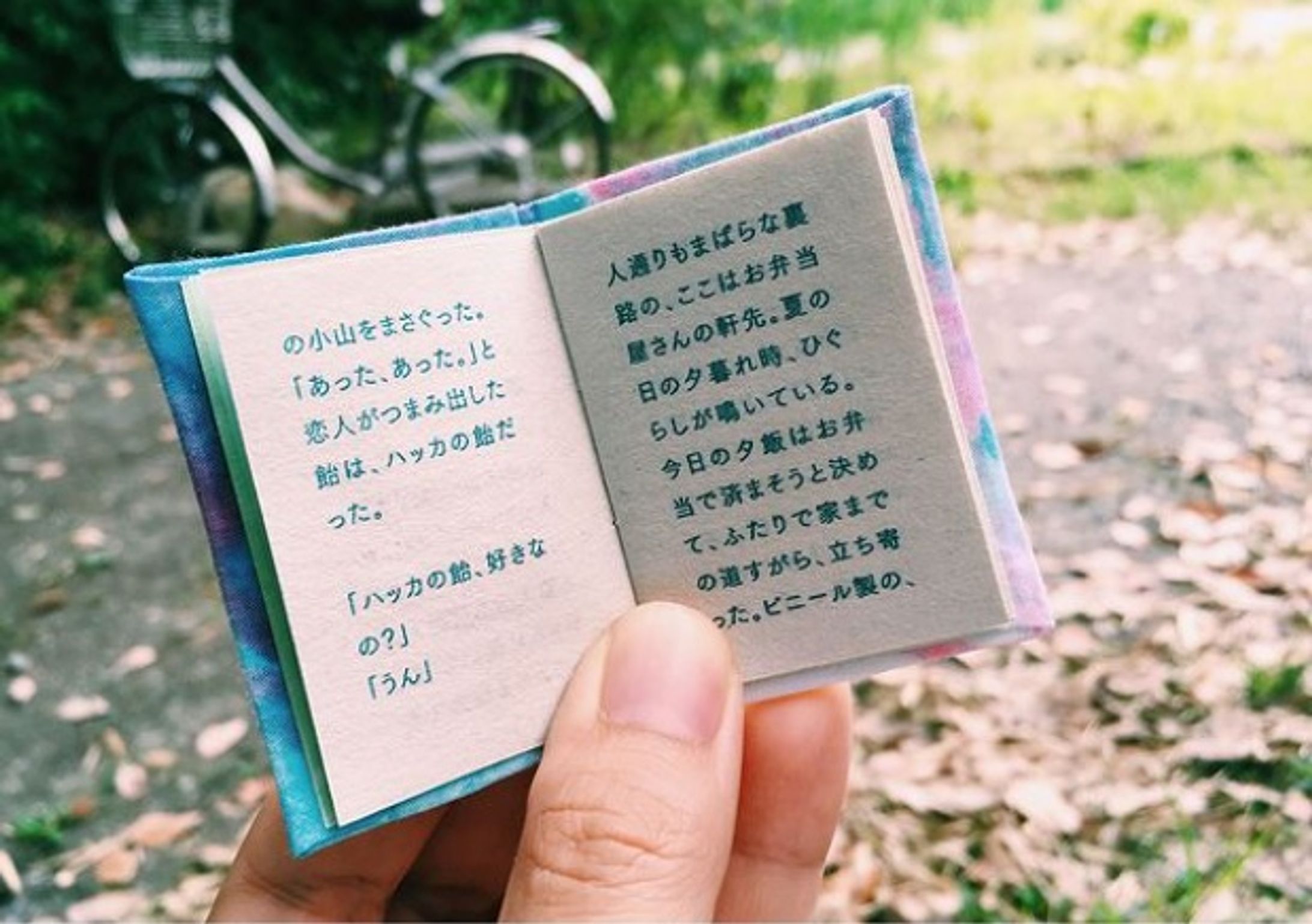 共同制作｜てのひらの夏-1