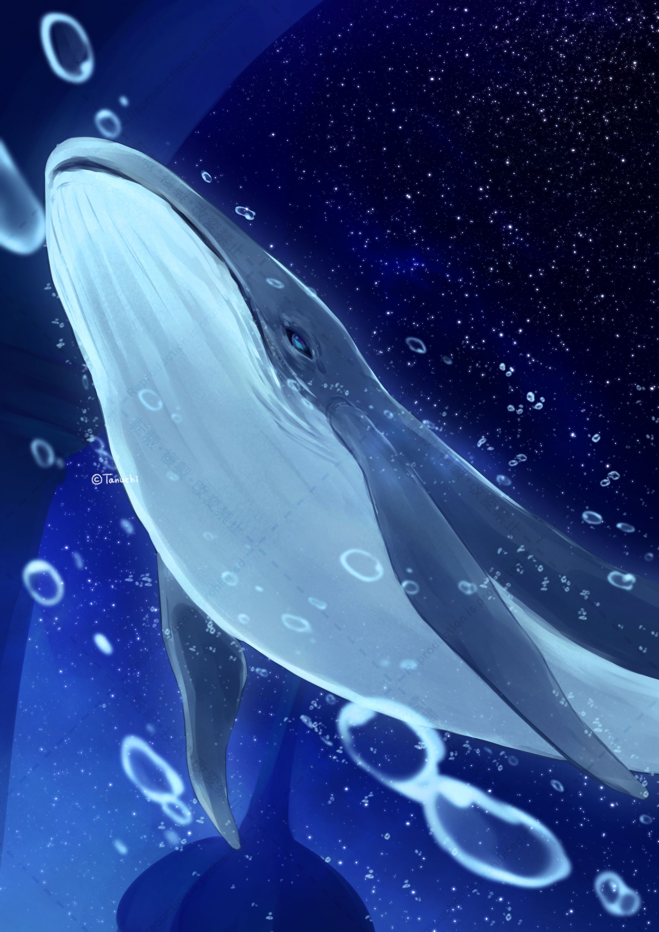 2023-1-05 ご依頼-1